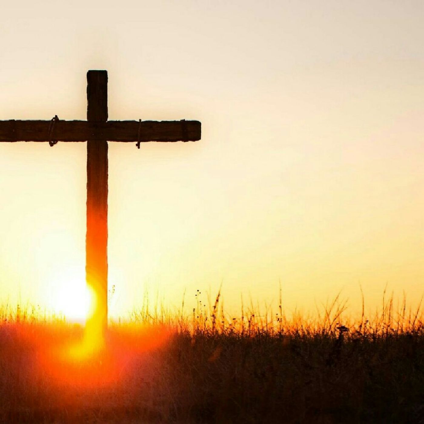 The Seven Thousand: Bible Truth Today