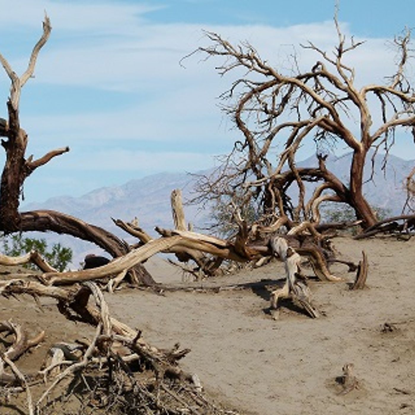 Wilderness Series Pt 1 - Are You Heading Into a Wilderness with Special Guest Ray Bergman of Innocence Redeemed --March 27 - April 2, 2022 episode artwork