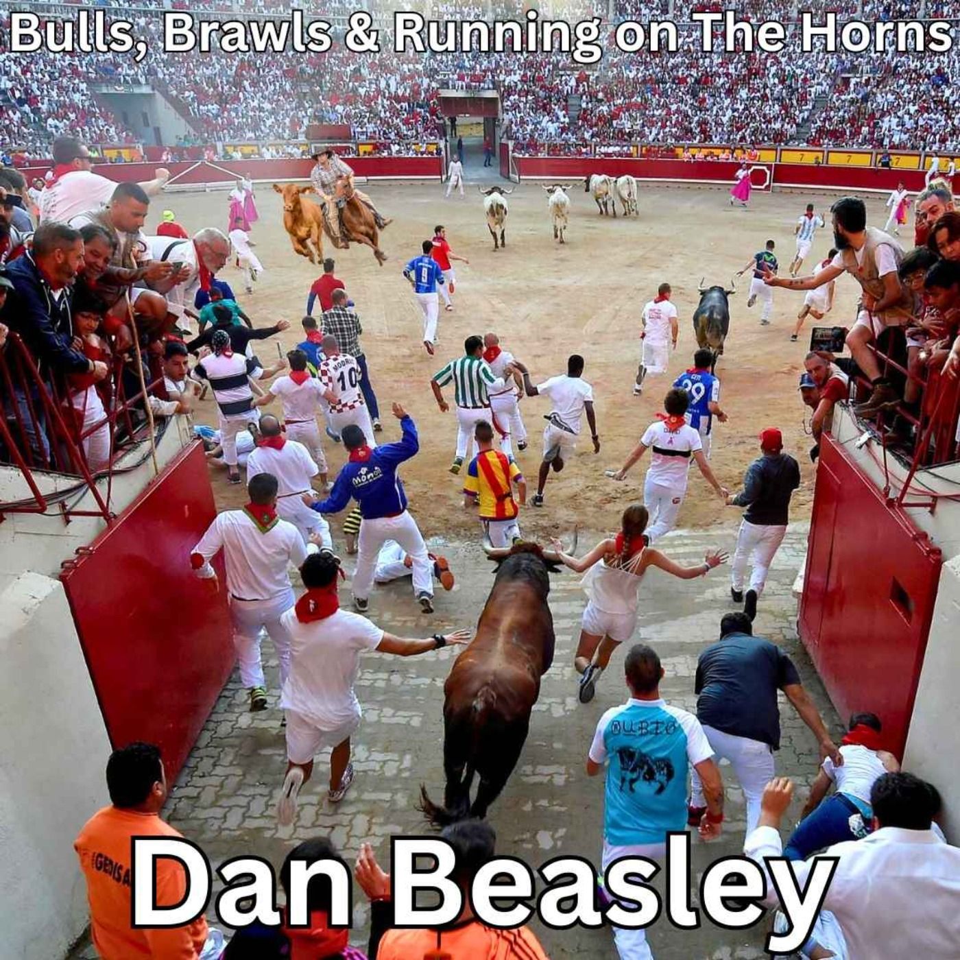 Bulls, Brawls and Running On The Horns