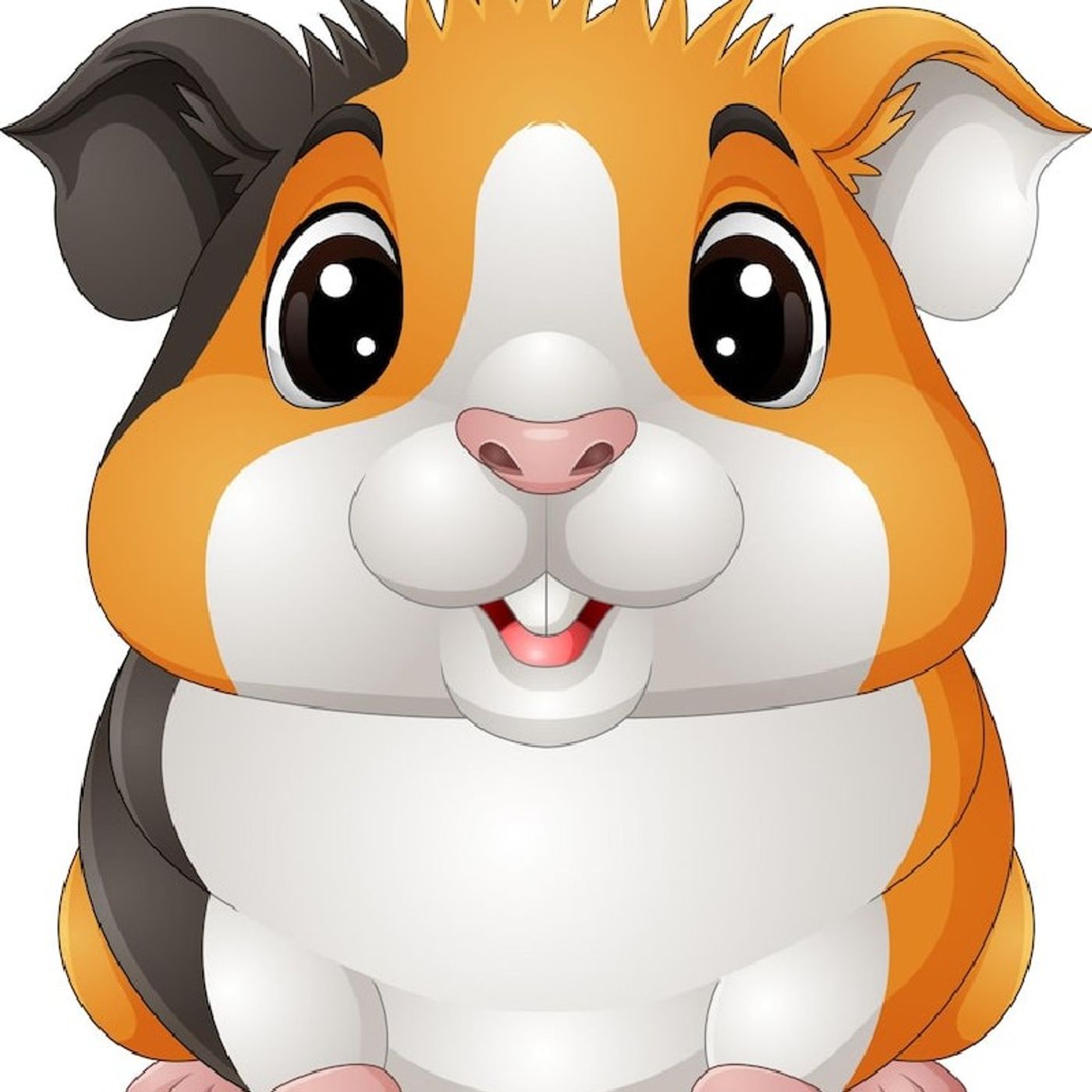 PeoplesLife ElSalvador (RadioDigital)