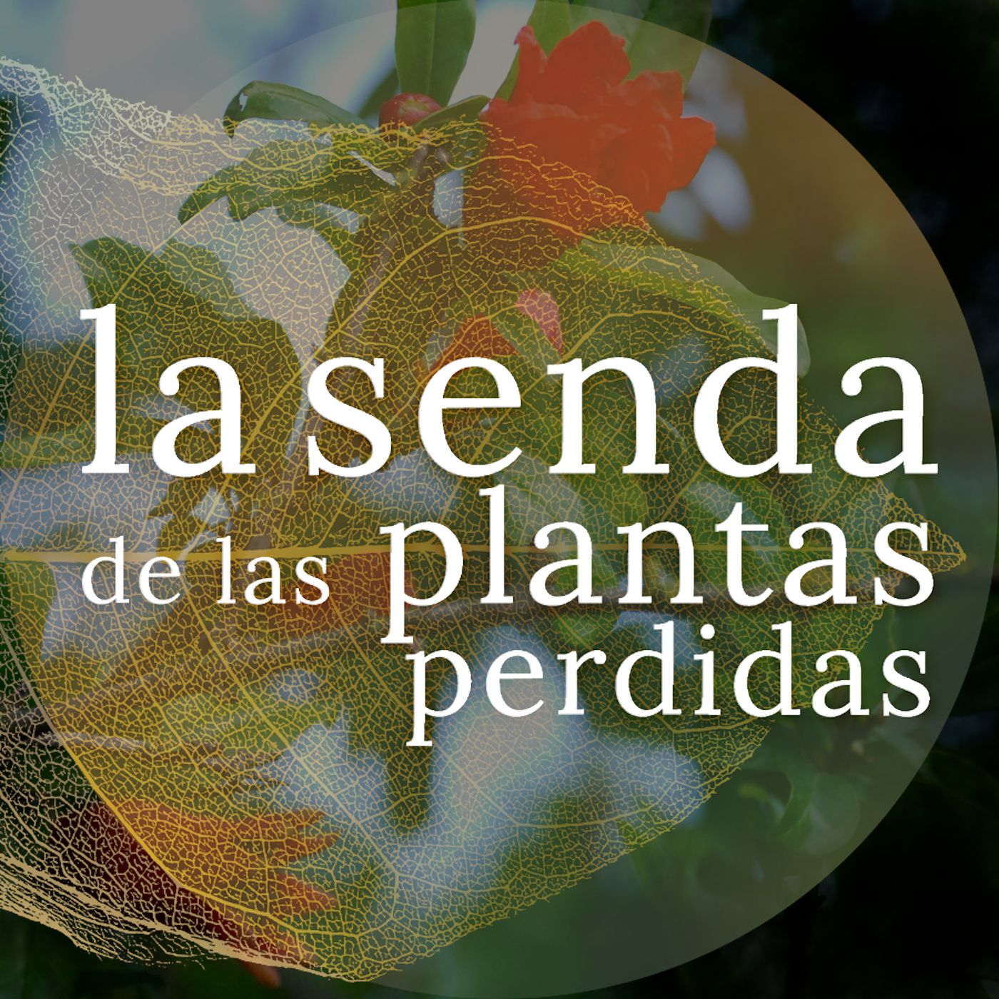 La Senda de las Plantas Perdidas