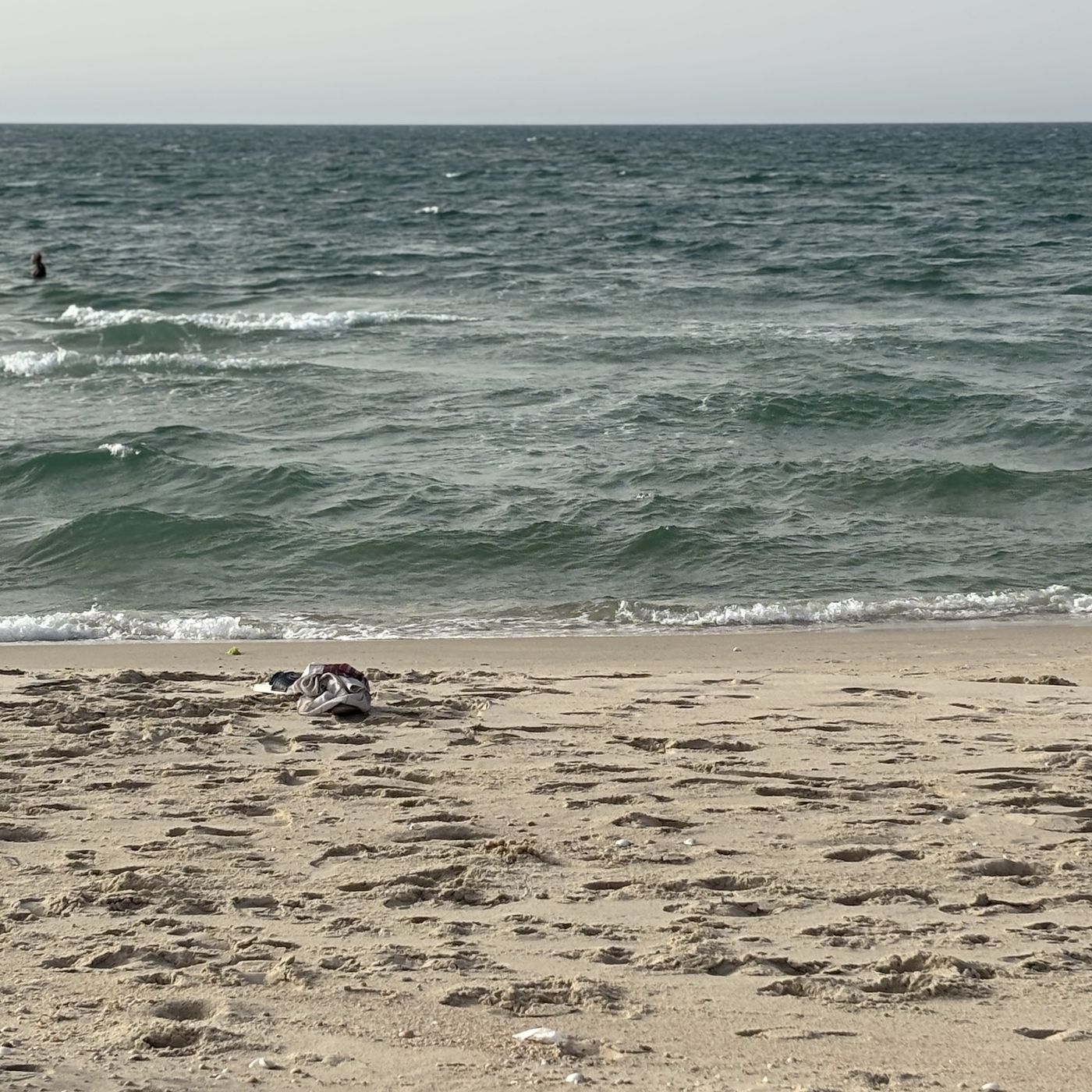 Gaza, anche il personale umanitario sotto attacco episode artwork