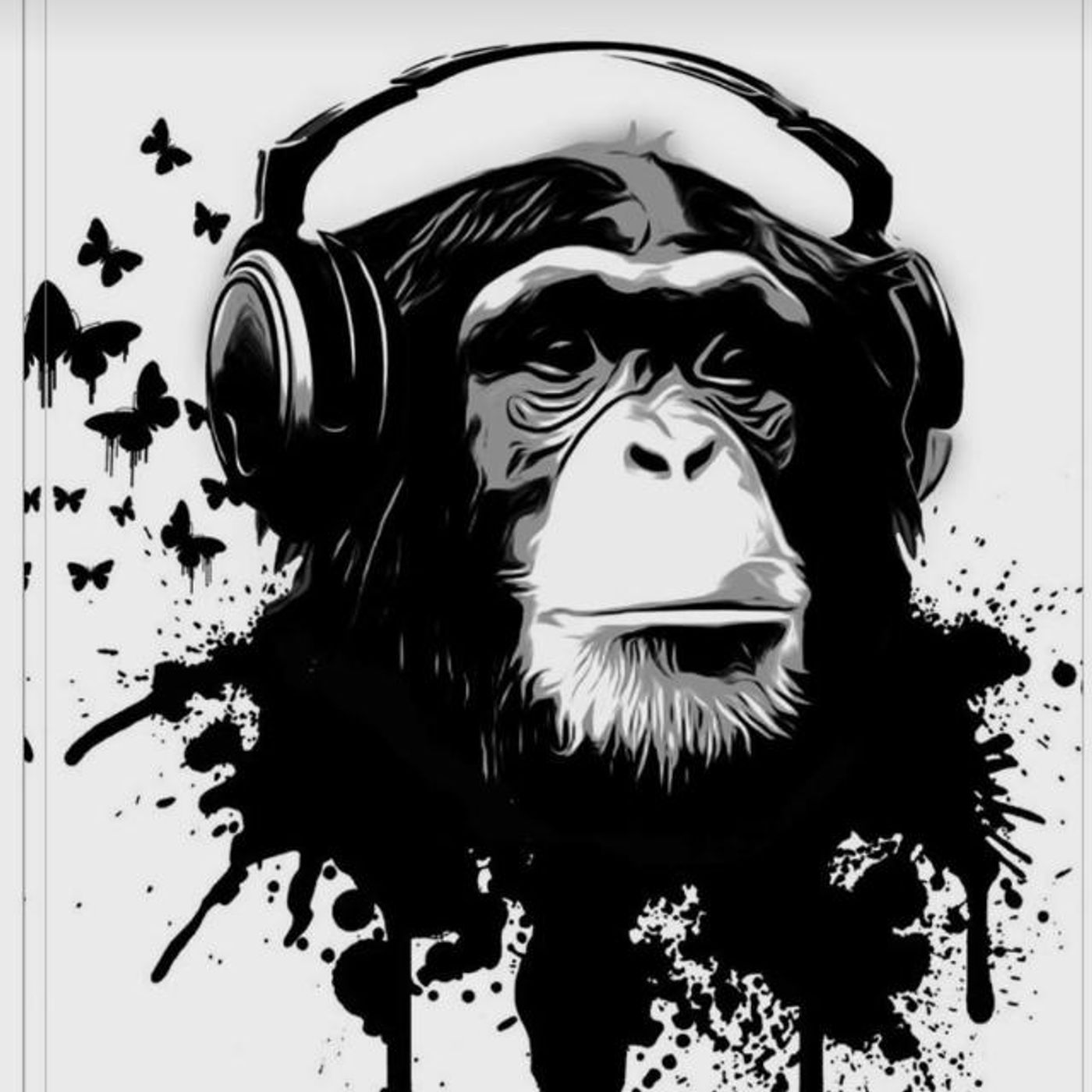 Aporte Primate