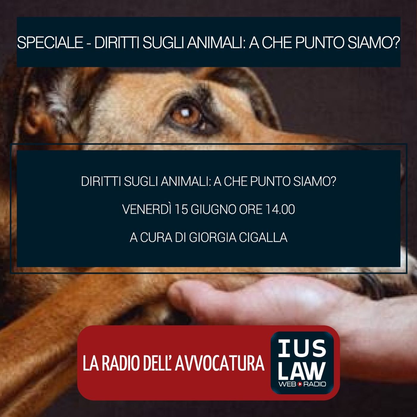 IusLaw Web Radio - speciali e news