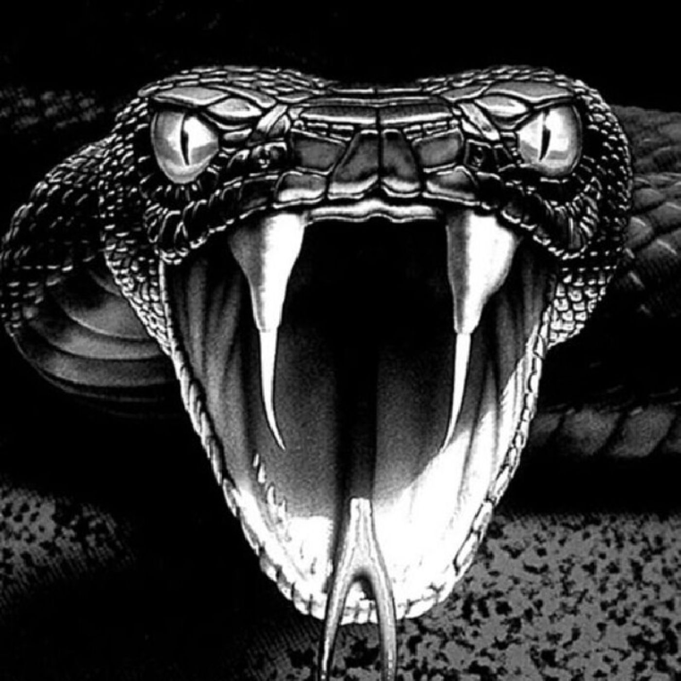 🐍BlacK VipeR🐍 episode artwork