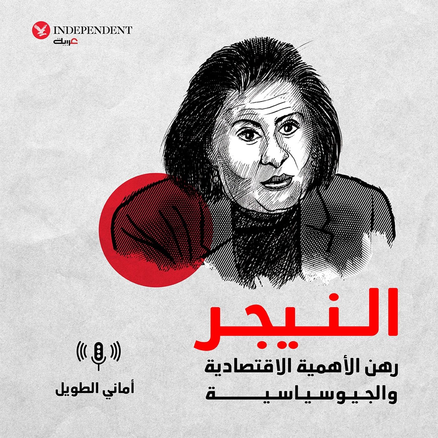 النيجر رهن الأهمية الاقتصادية والجيوسياسية episode artwork