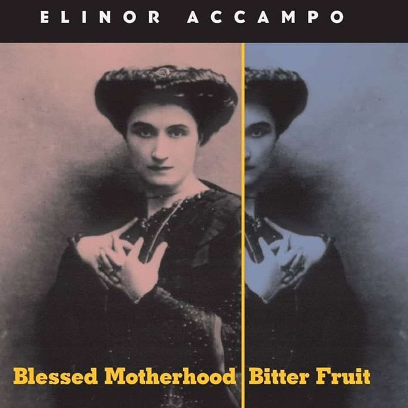 Blessed Motherhood, Bitter Fruit: Nelly Roussel and the Politics of Female Pain in Third Republic France