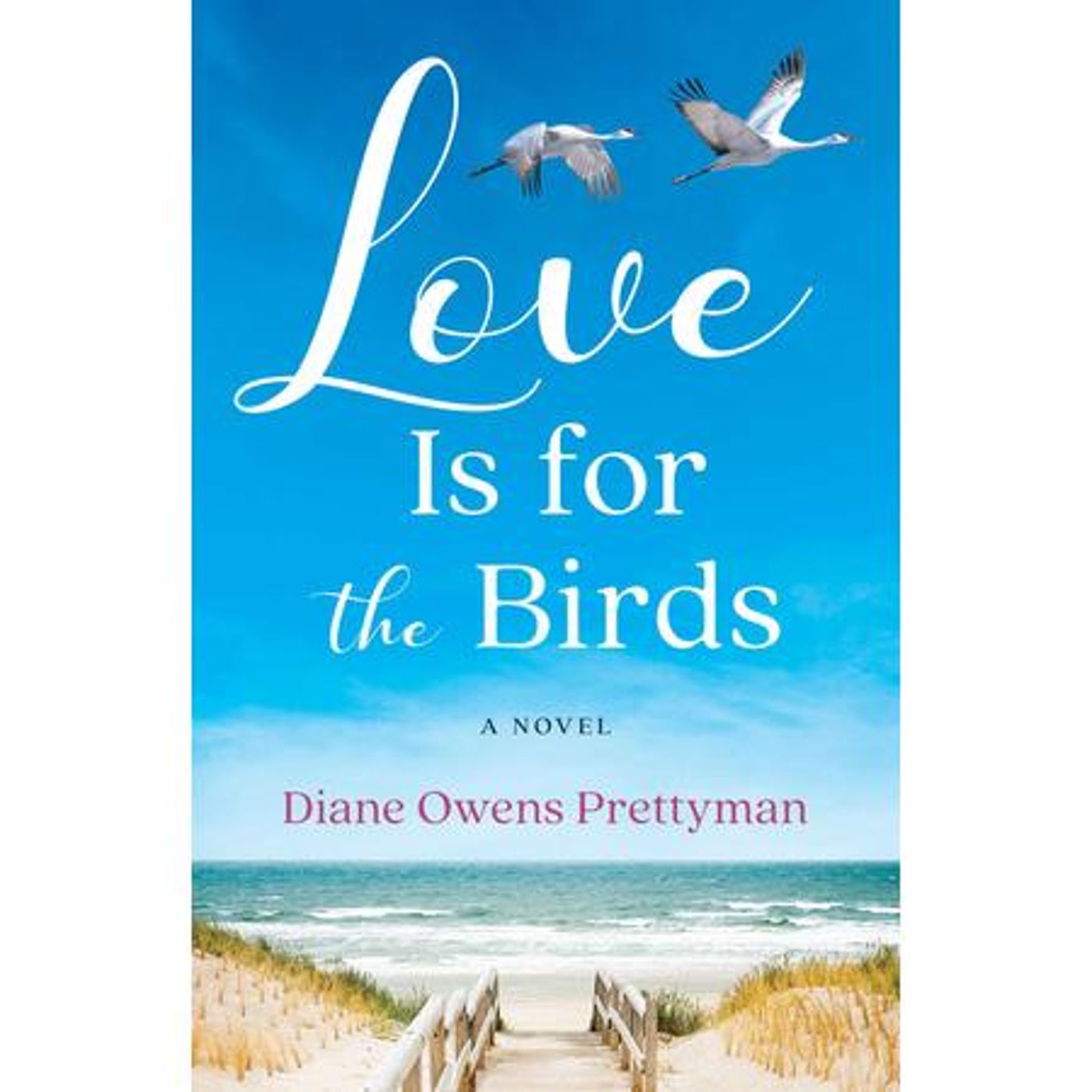 Author Diane Owens Prettyman talks LOVE IS FOR THE BIRDS on ConversationsLIVE episode artwork