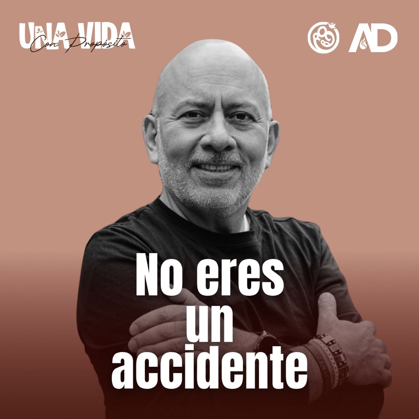 DIA 2 - No eres un accidente episode artwork