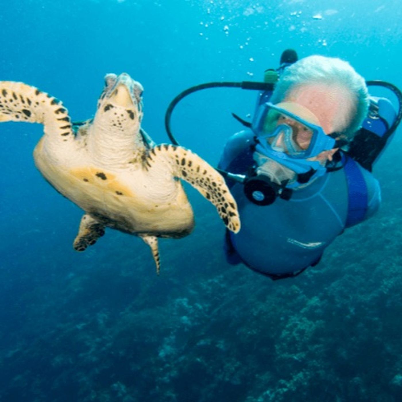 Jean - Michel Cousteau RADIO AD PROMO.mp3 episode artwork