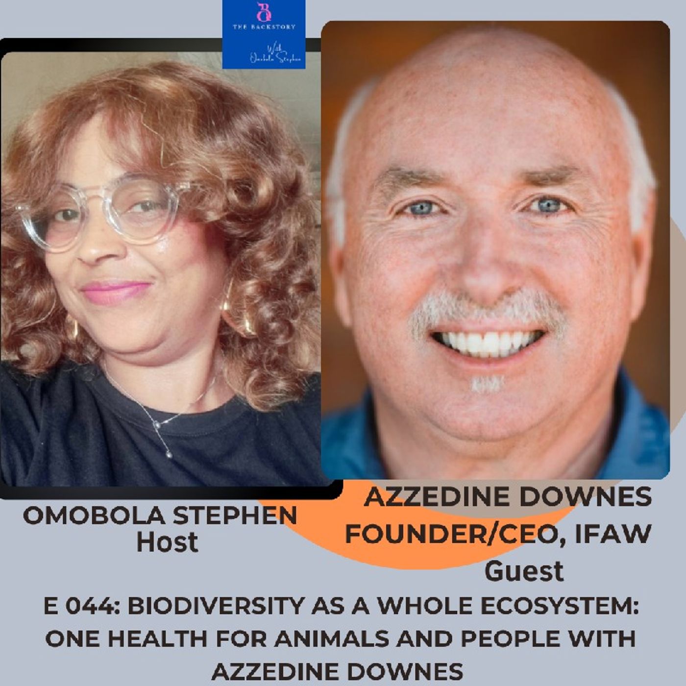 THE BACKSTORY WITH OMOBOLA STEPHEN