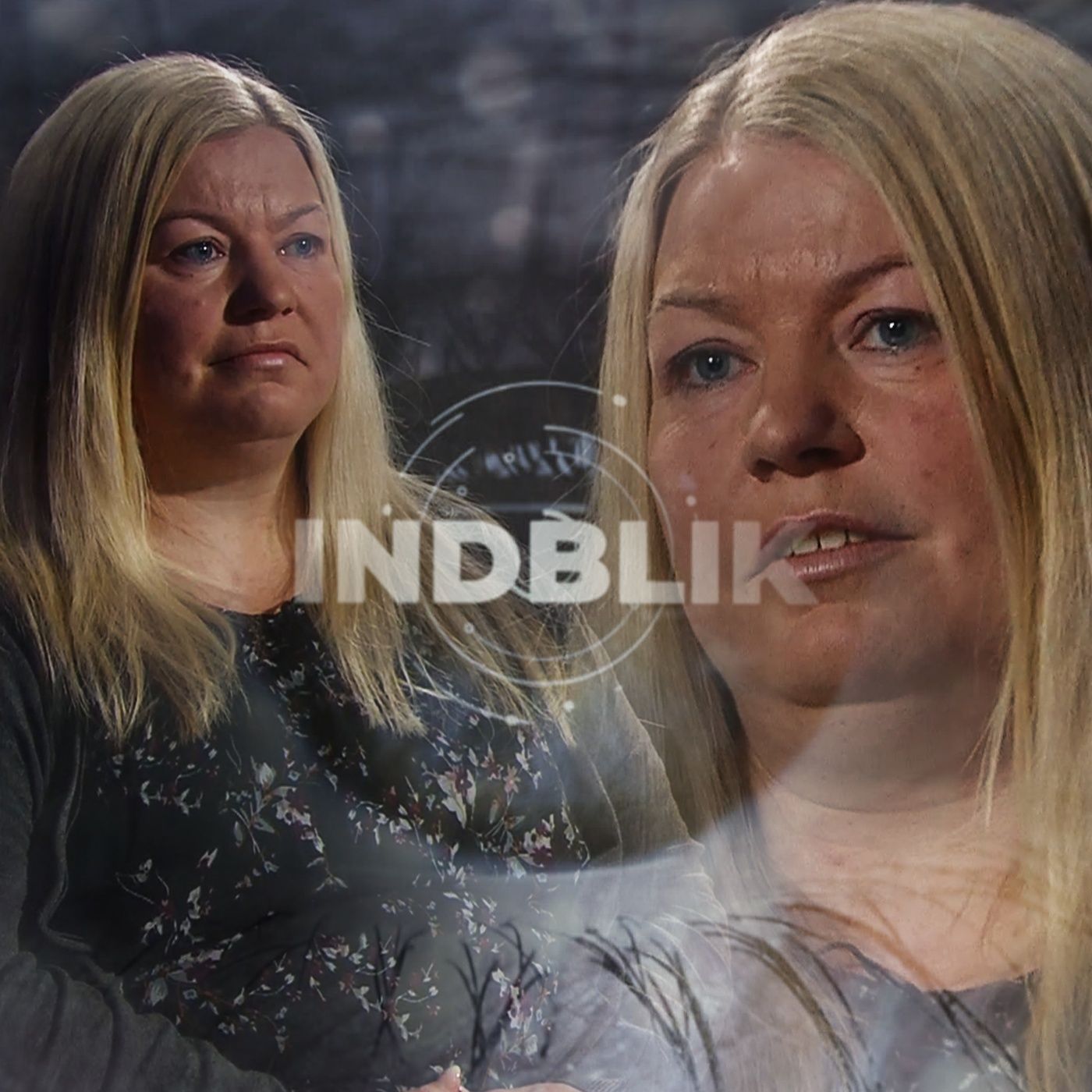Indblik