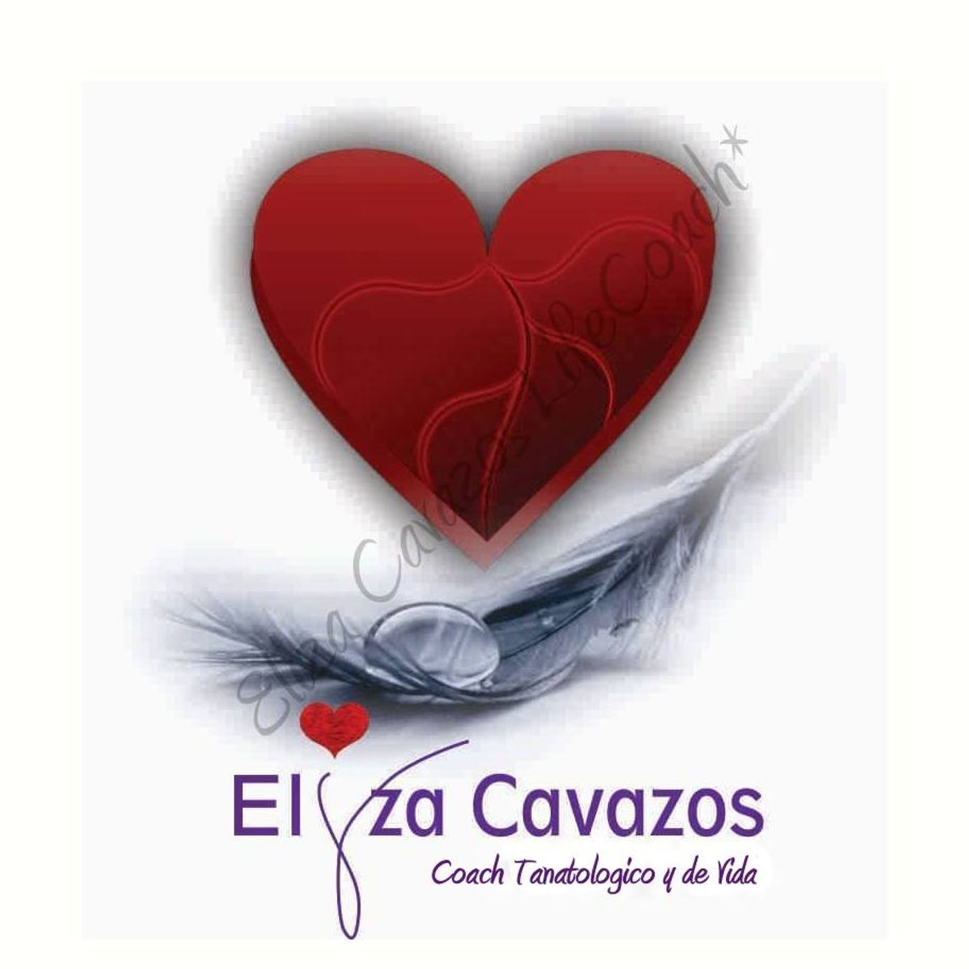 El show de Eliza Cavazos