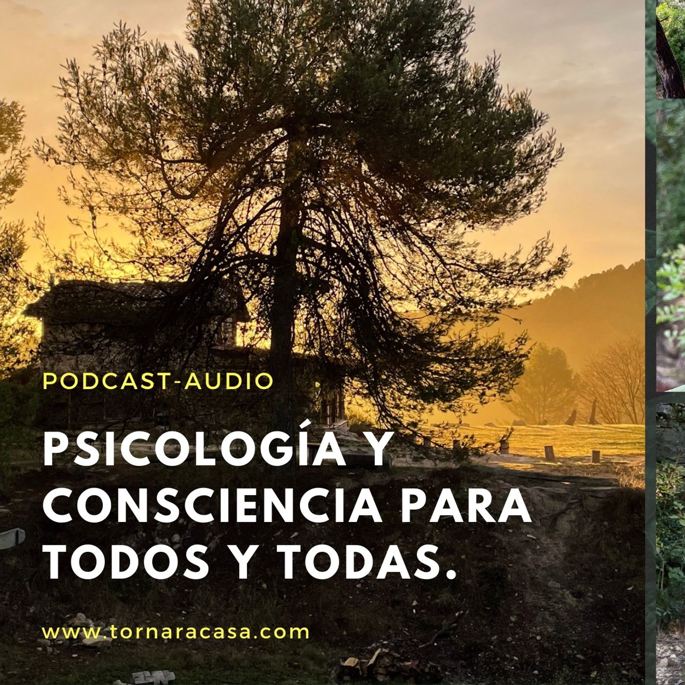 Psicologia y Consciencia. “Volver a Casa”