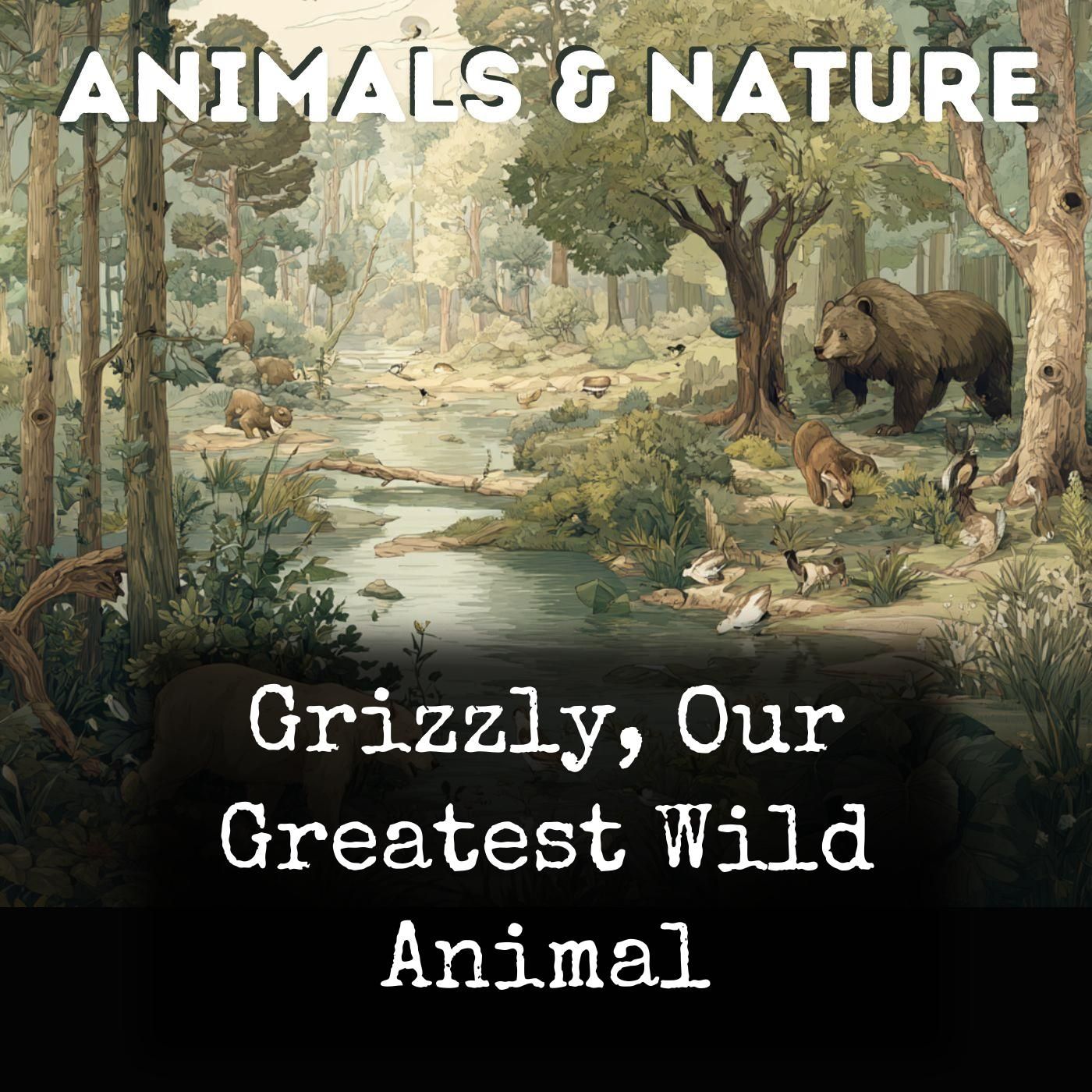 Grizzly, Our Greatest Wild Animal cover art