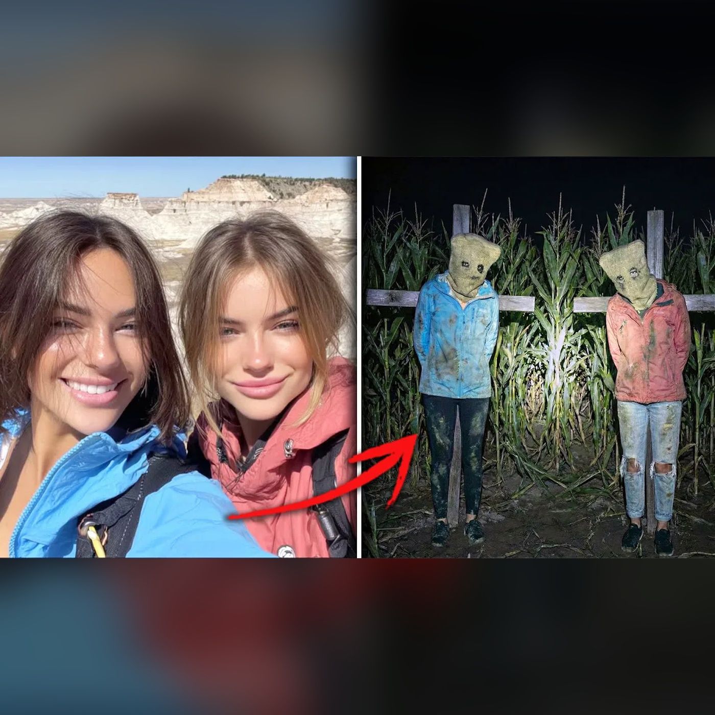 Missing Girls Found Tied Up as Scarecrows in a Cornfield episode artwork