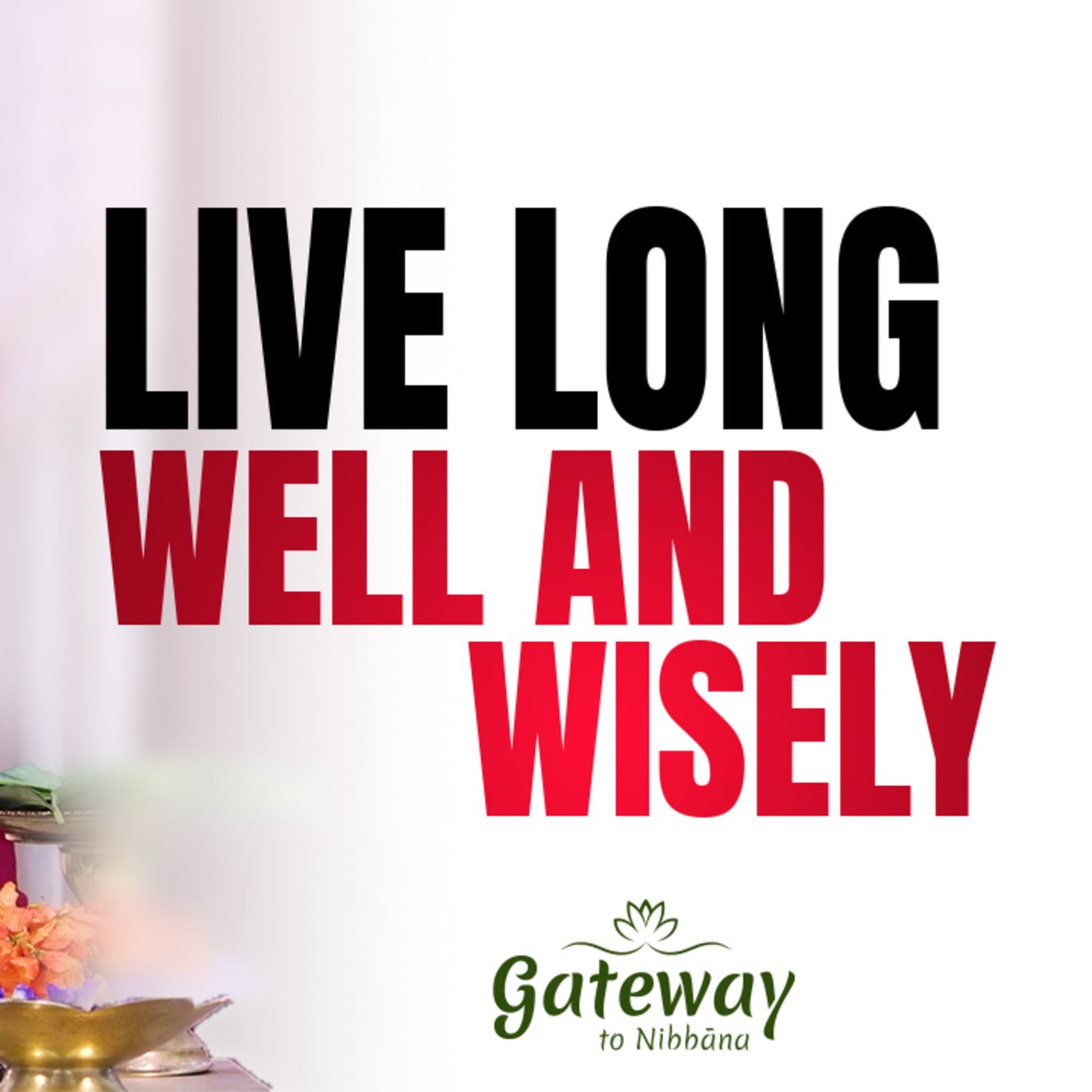 Live Long, Well and Wisely