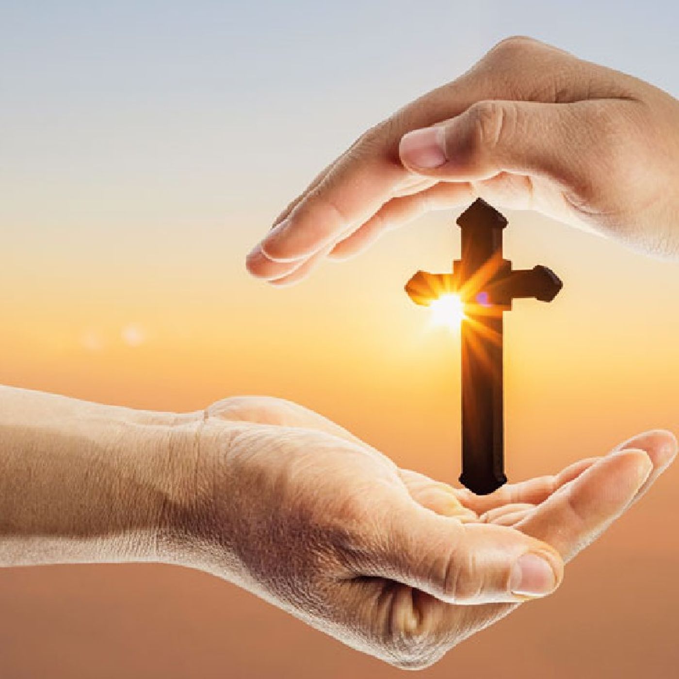 La Reflexión del Día "Palabras y obras que hagan presente a Jesús" episode artwork