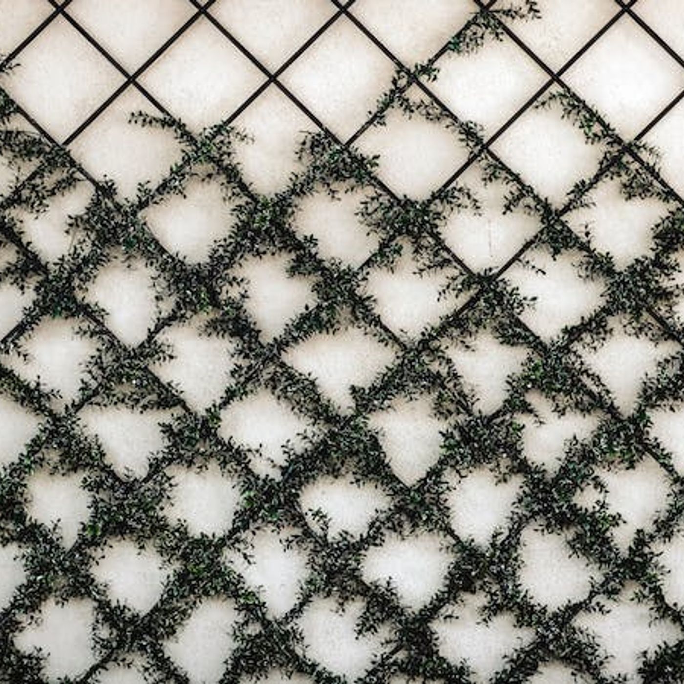 Build Structures to Serve Your Calling