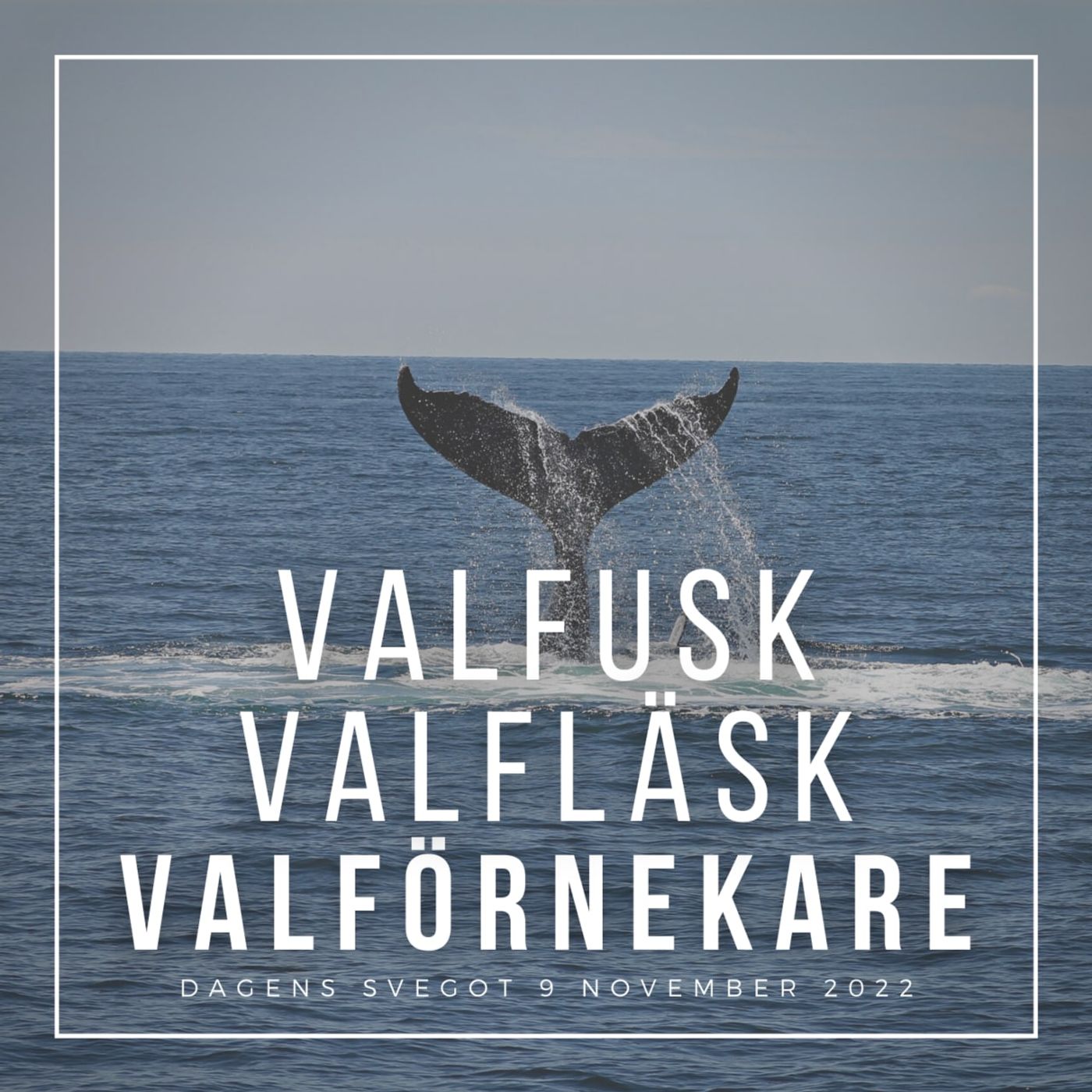Valfusk, valfläsk och valförnekare episode artwork