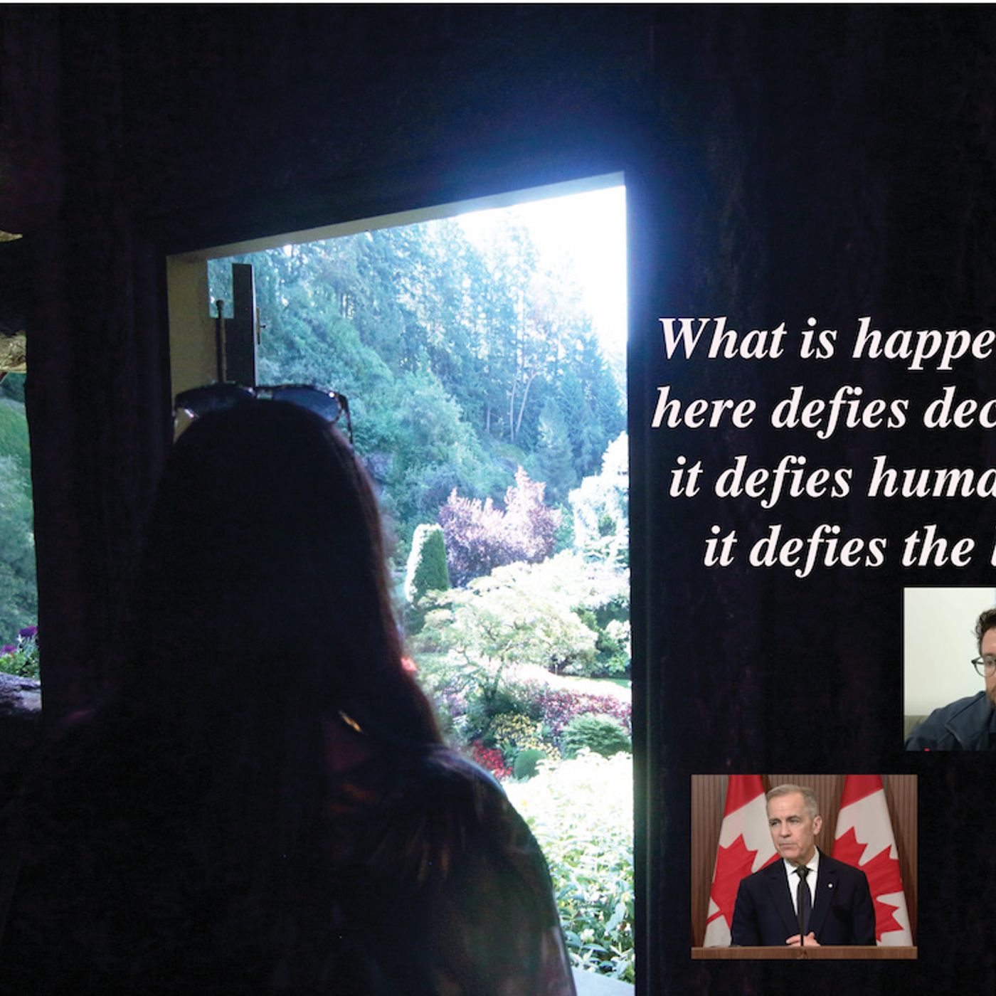 What is happening here defies decency, it defies humanity, it defies the law,