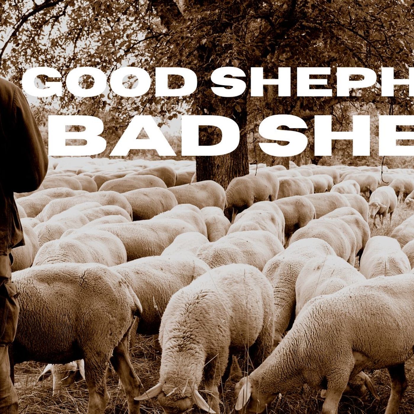 Week 1 Sheep-ish episode artwork