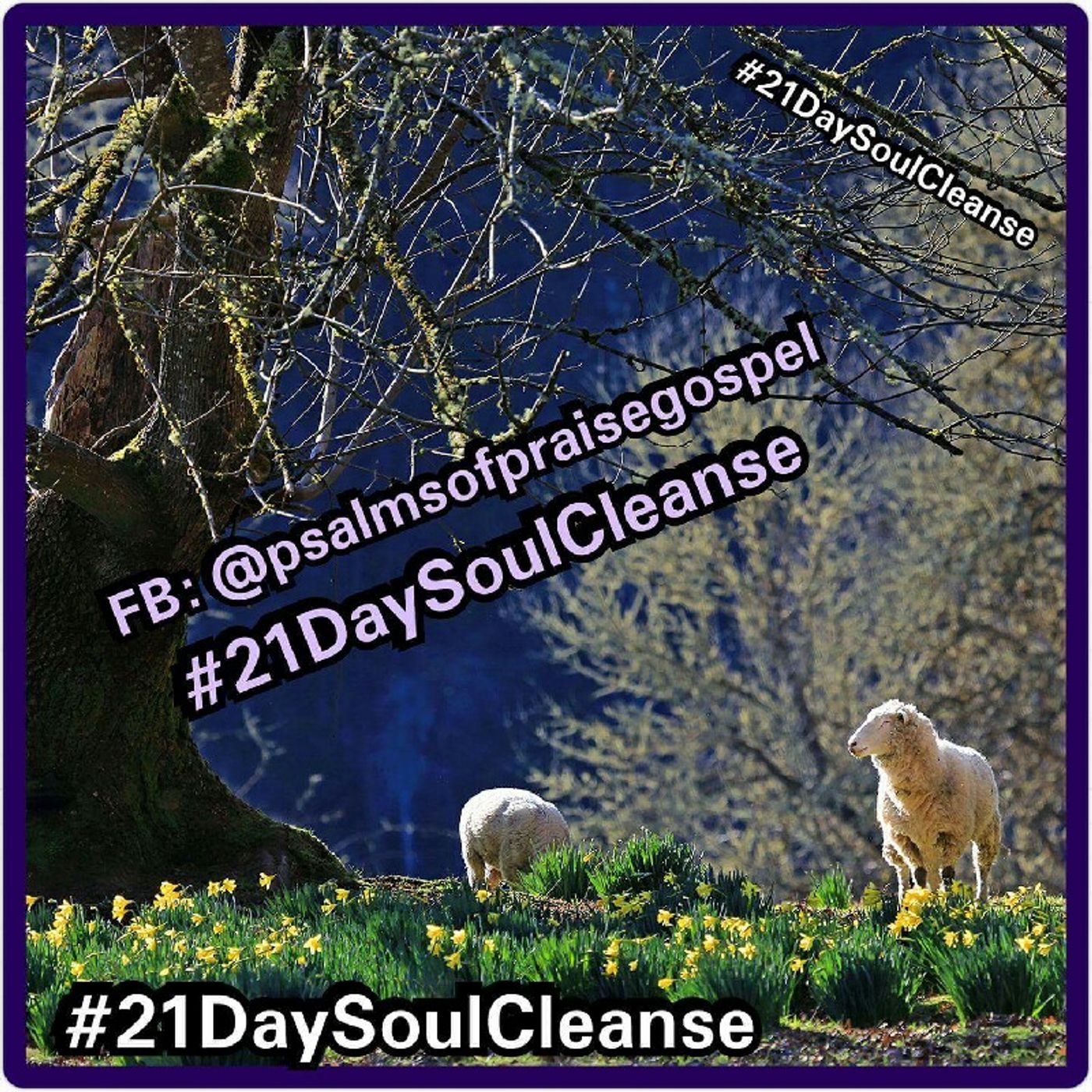 Psalms Of Praise Gospel