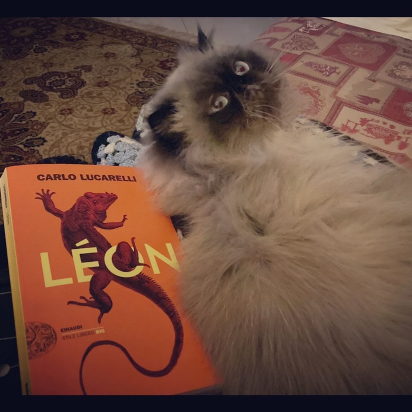 Letture di Anna