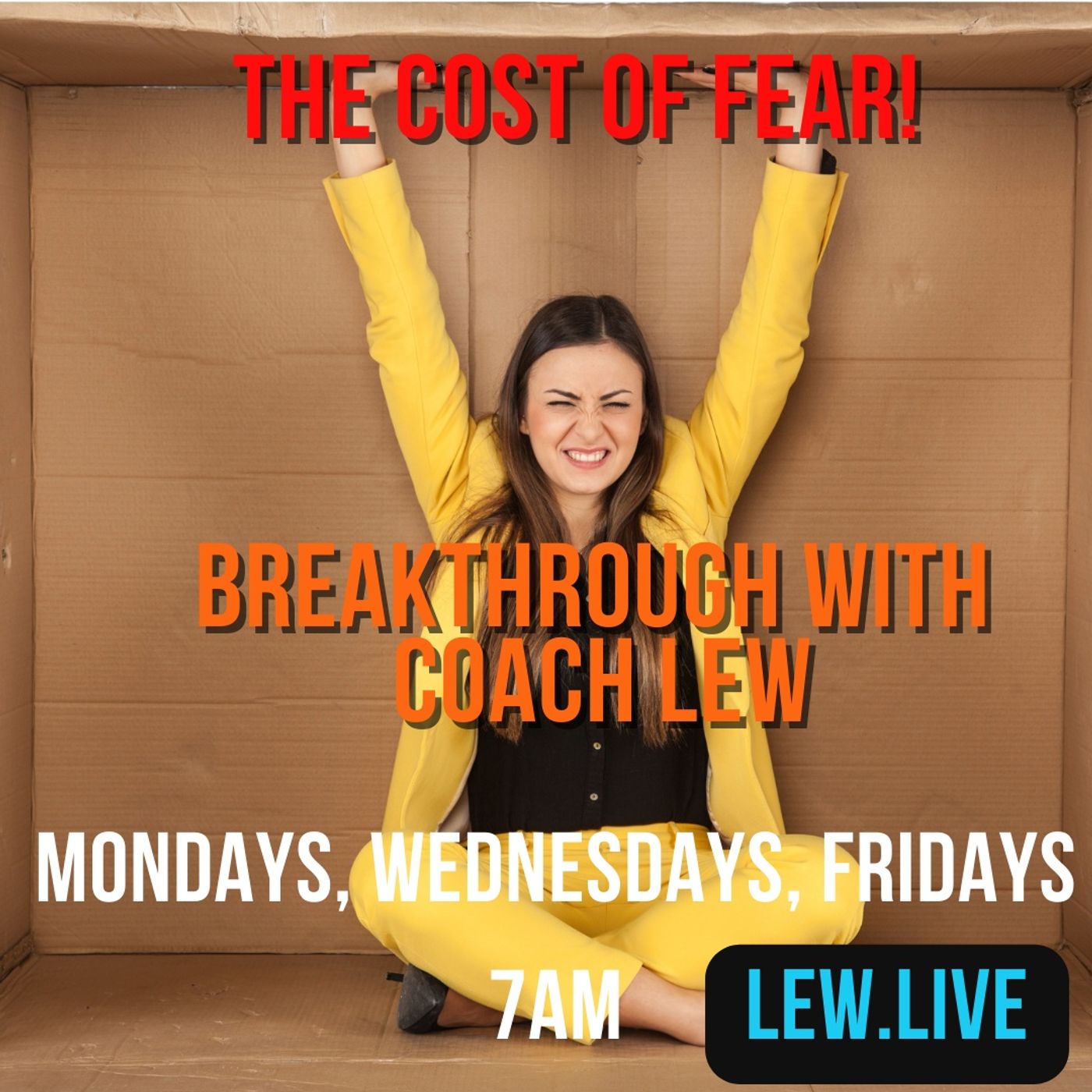 What is the cost of fear episode artwork