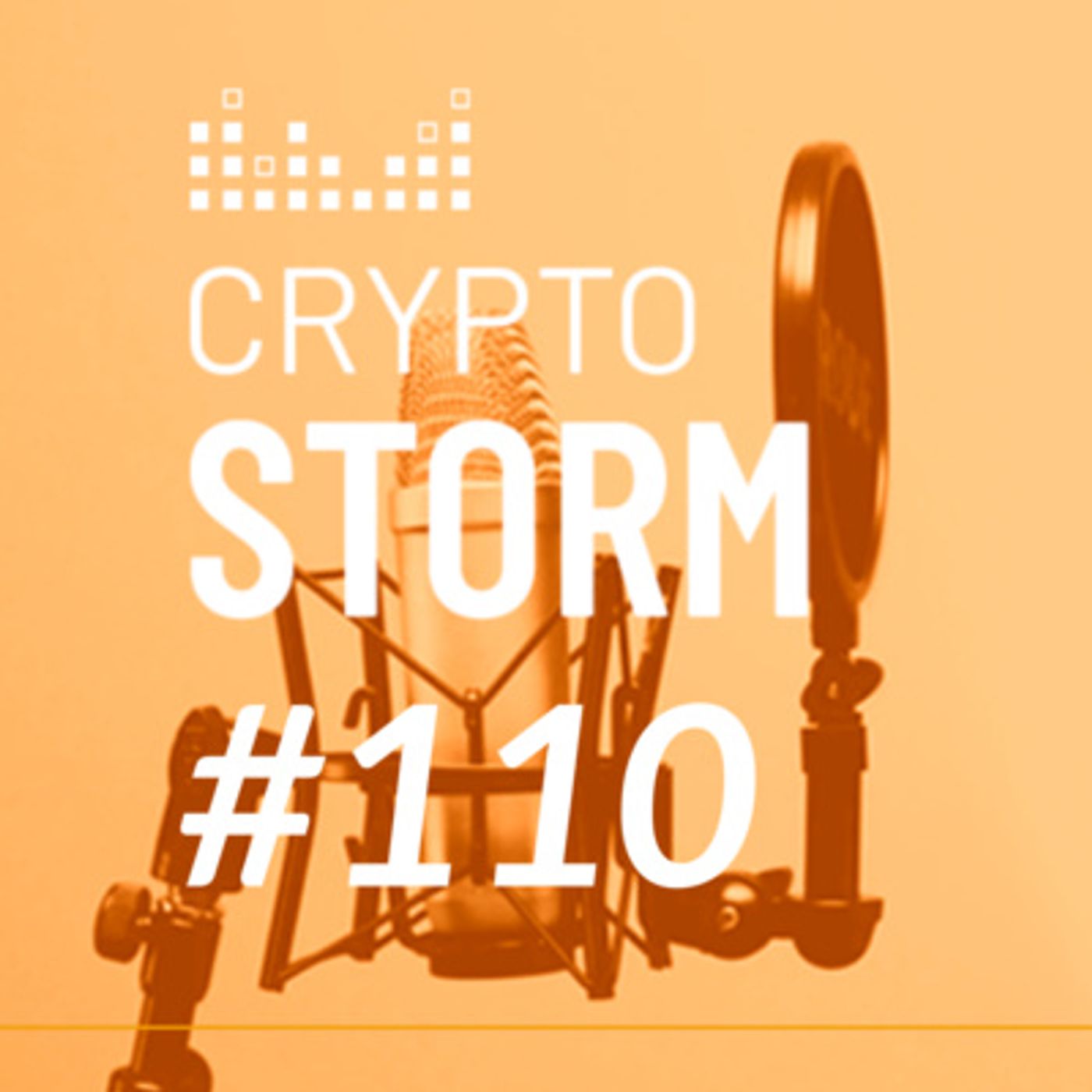 Crypto Storm