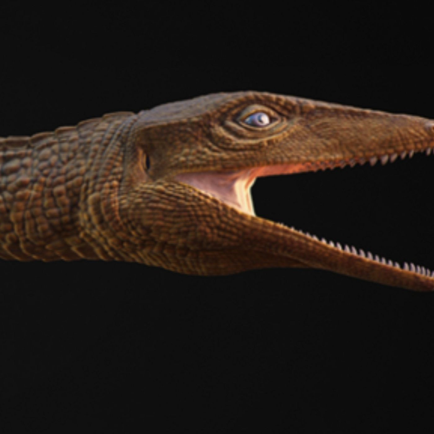 The Happy Pod:  Former teacher celebrated as a crocodile episode artwork
