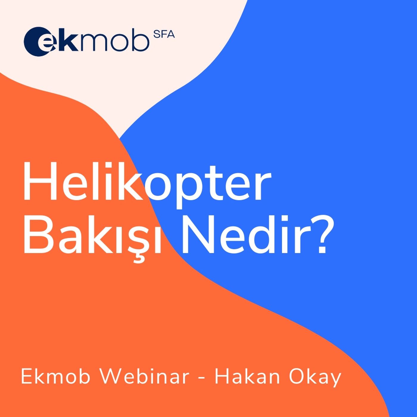 Satış Ekibi Yönetimi