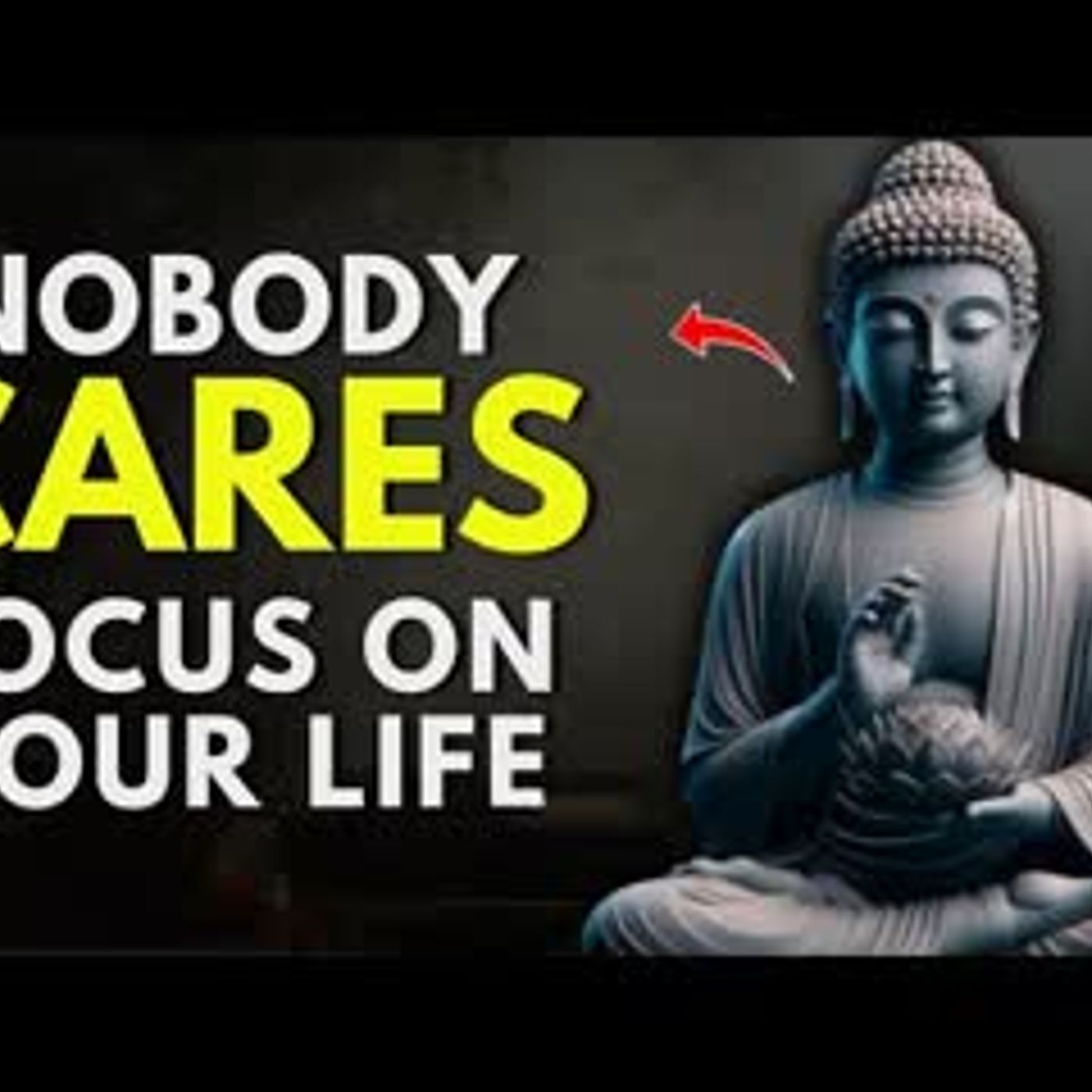 How to Focus on Your Life   Buddhist Wisdom   Buddhism