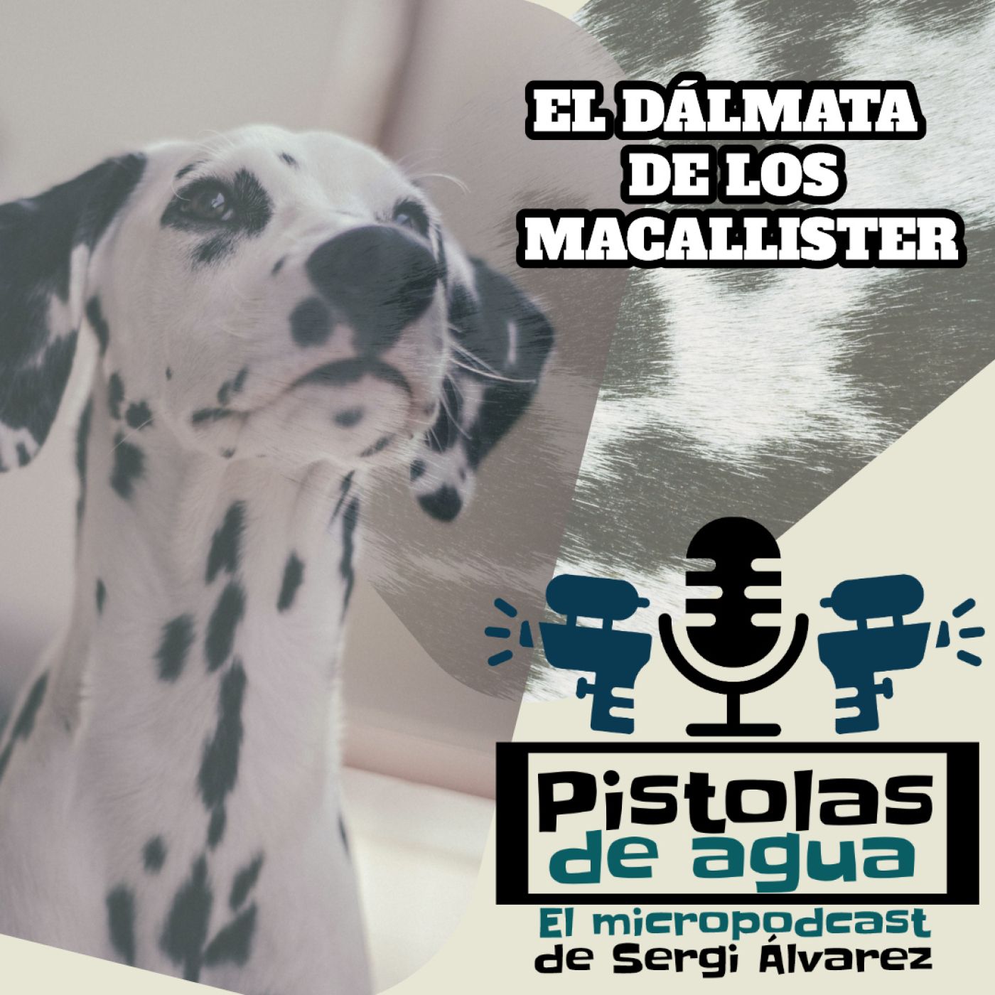 PISTOLAS DE AGUA