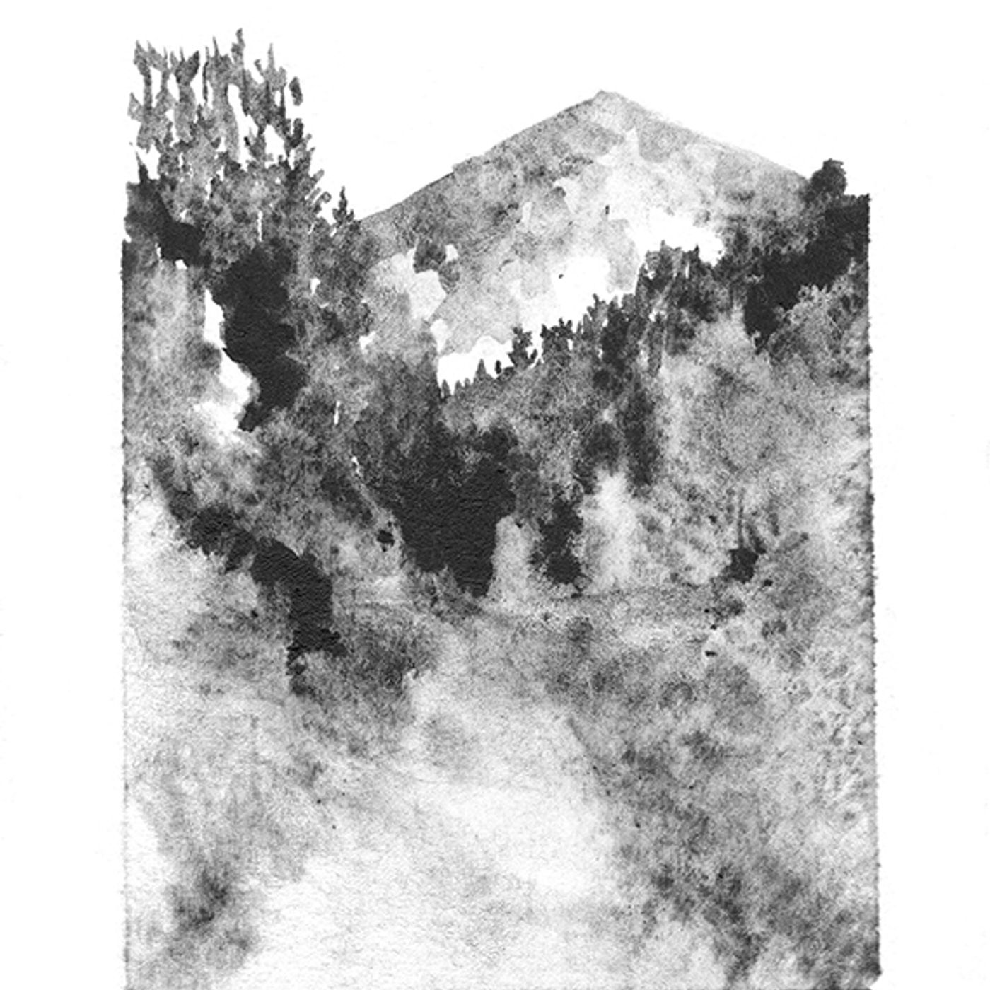 Filtri