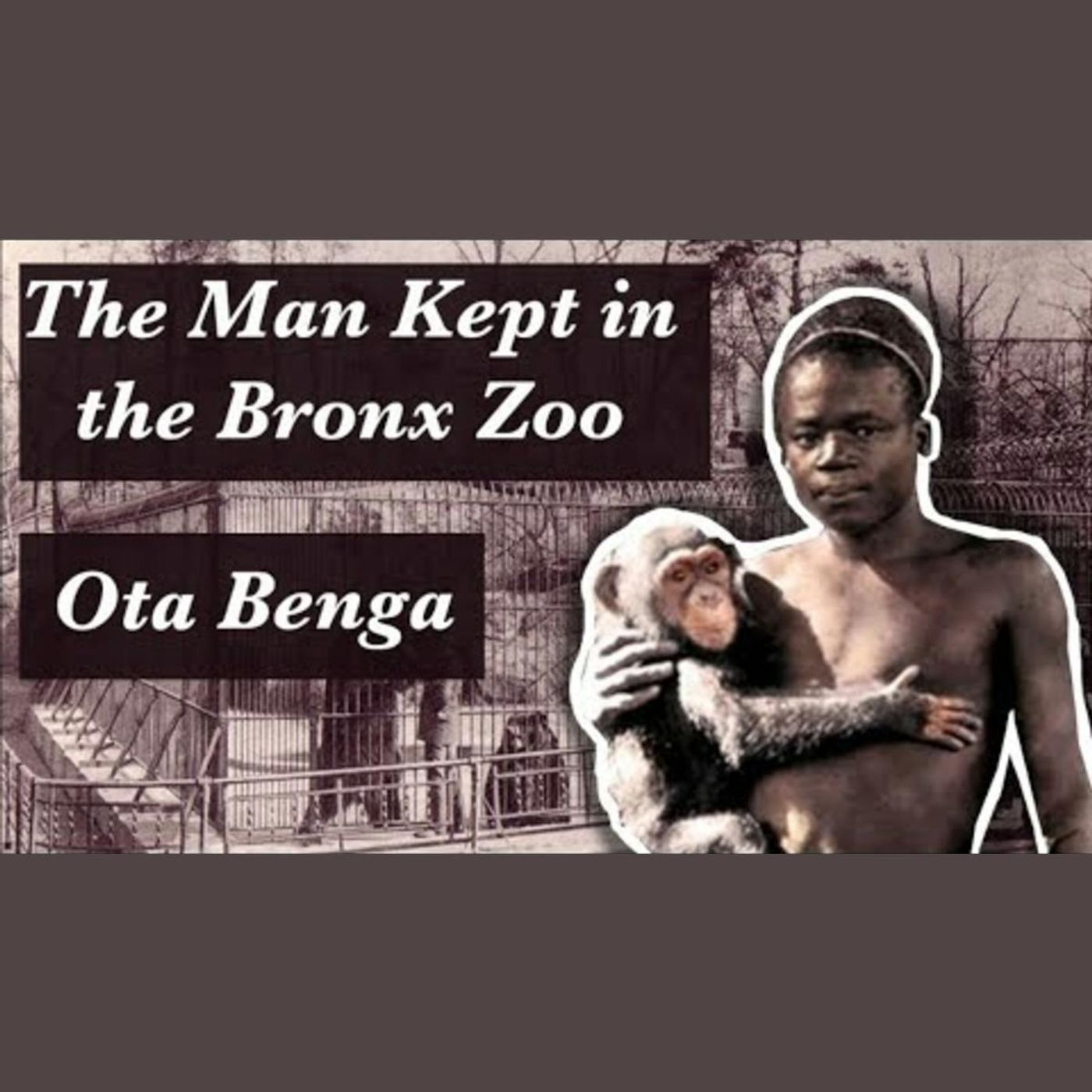 The Tragic but Fascinating Story of the Pygmy Kept in the Bronx Zoo episode artwork