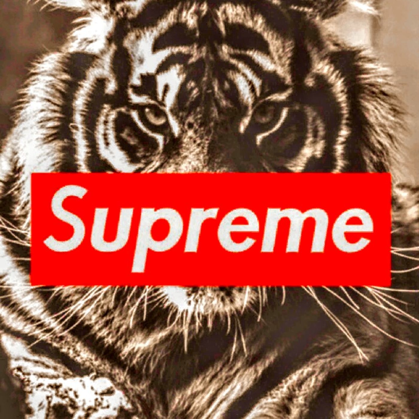 Progressions episode artwork