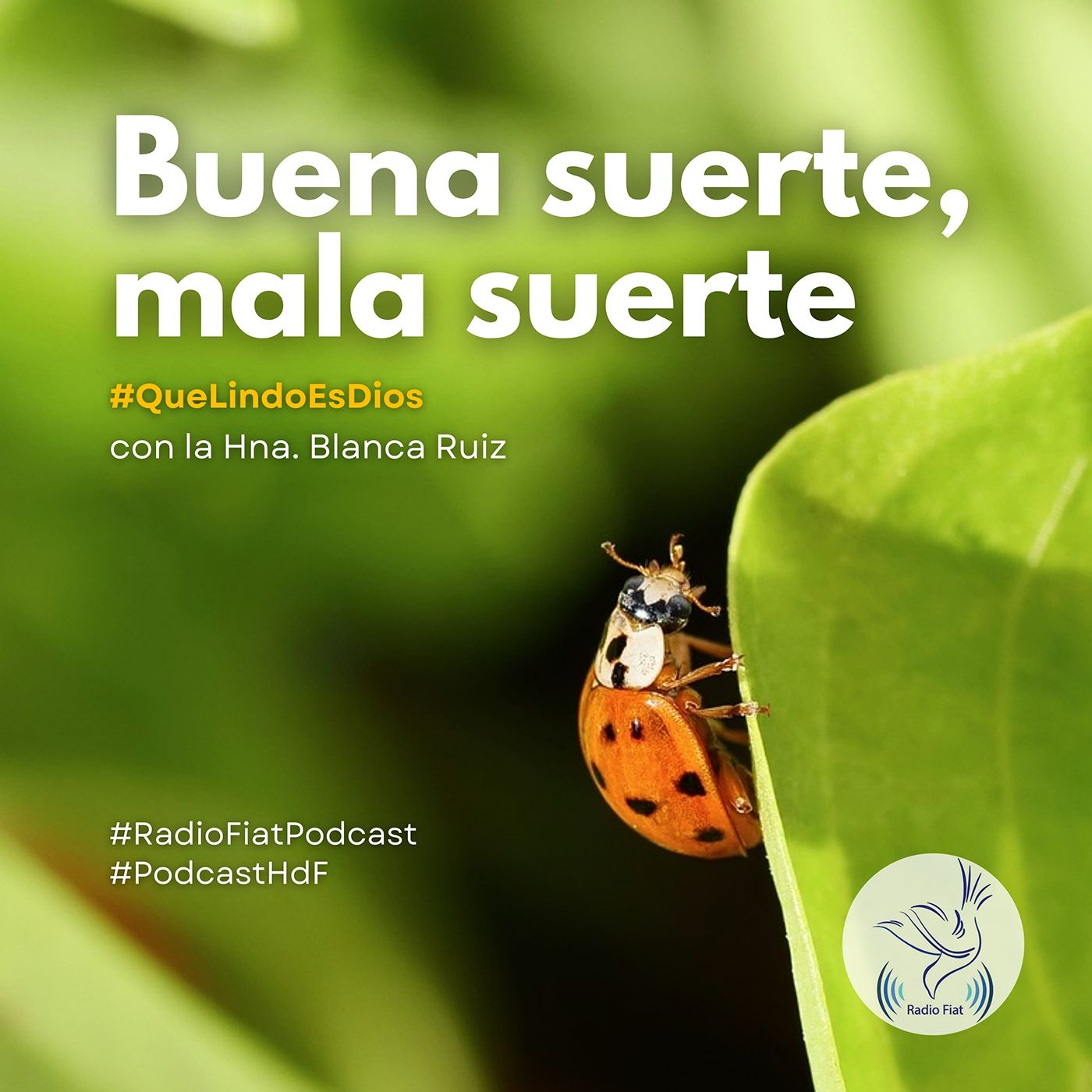 Que lindo es Dios - Buena suerte, mala suerte episode artwork