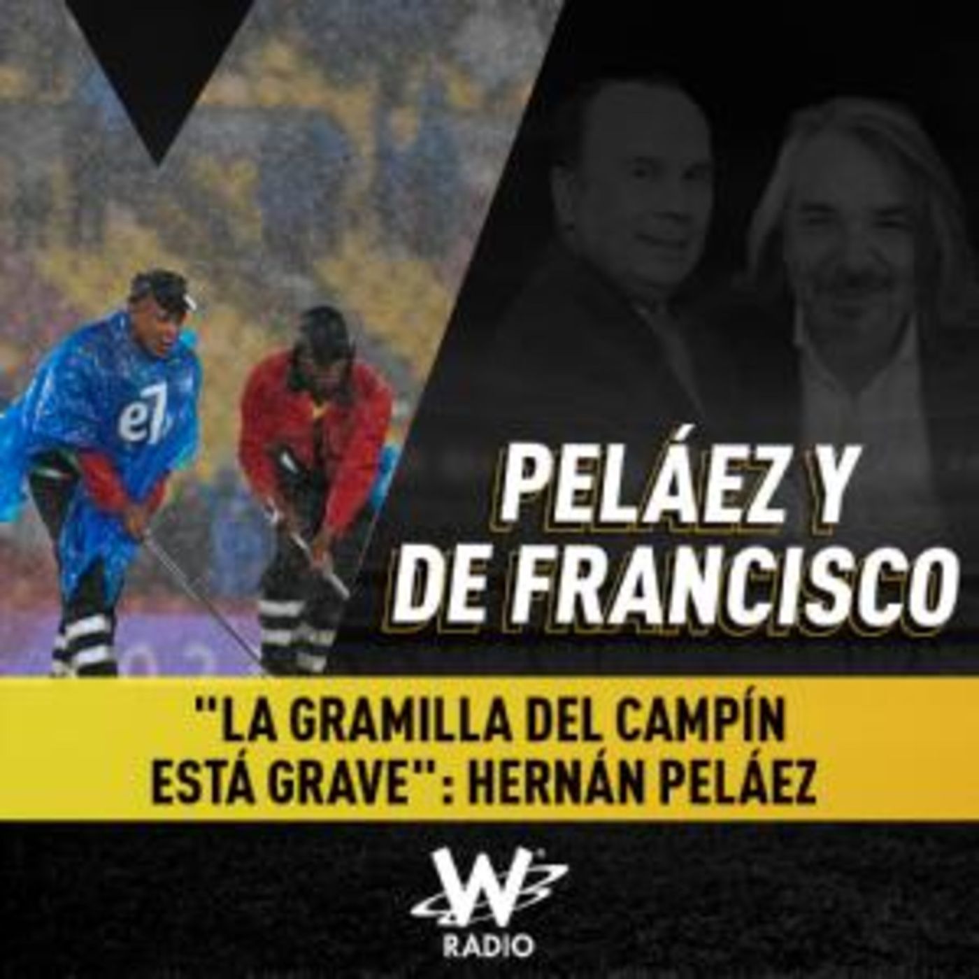 "La gramilla del Campín está grave": Hernán Peláez