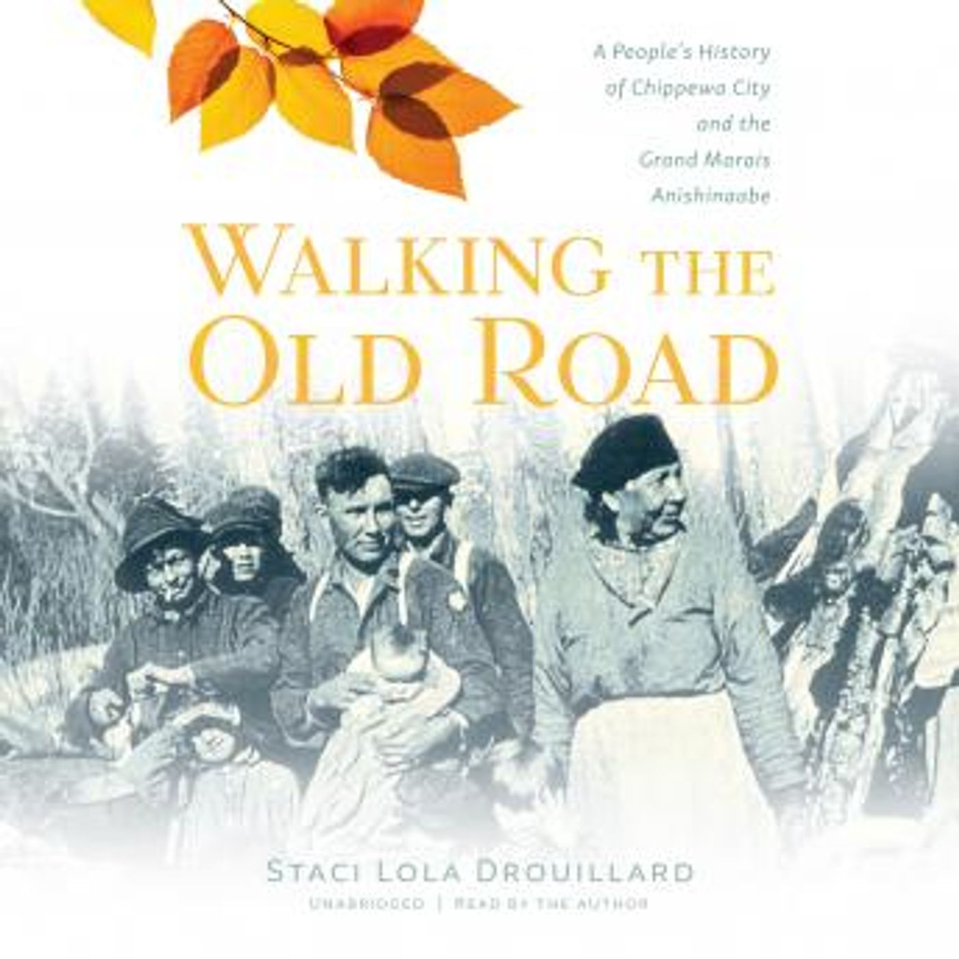 Access Top-Rated Full Audiobooks in History, The Americas
