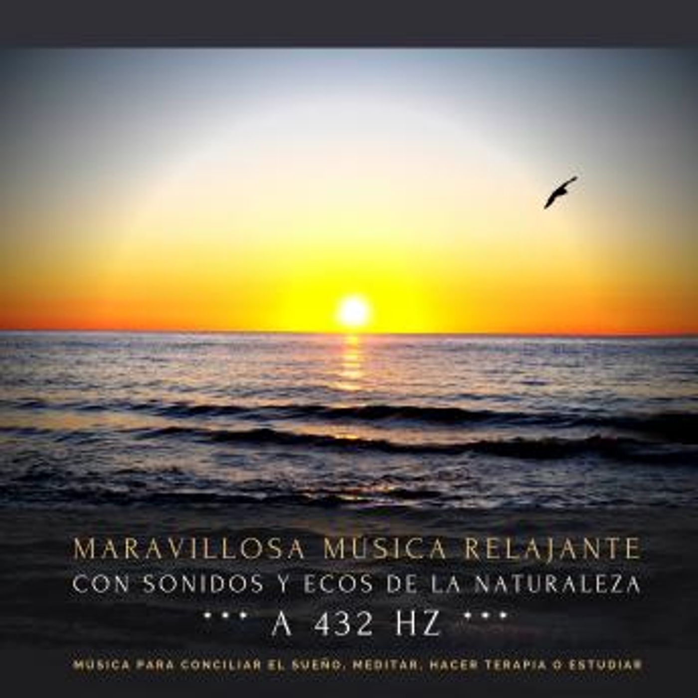 Grab the Top Full Audiobooks in Health & Wellness, Mindfulness & Meditation