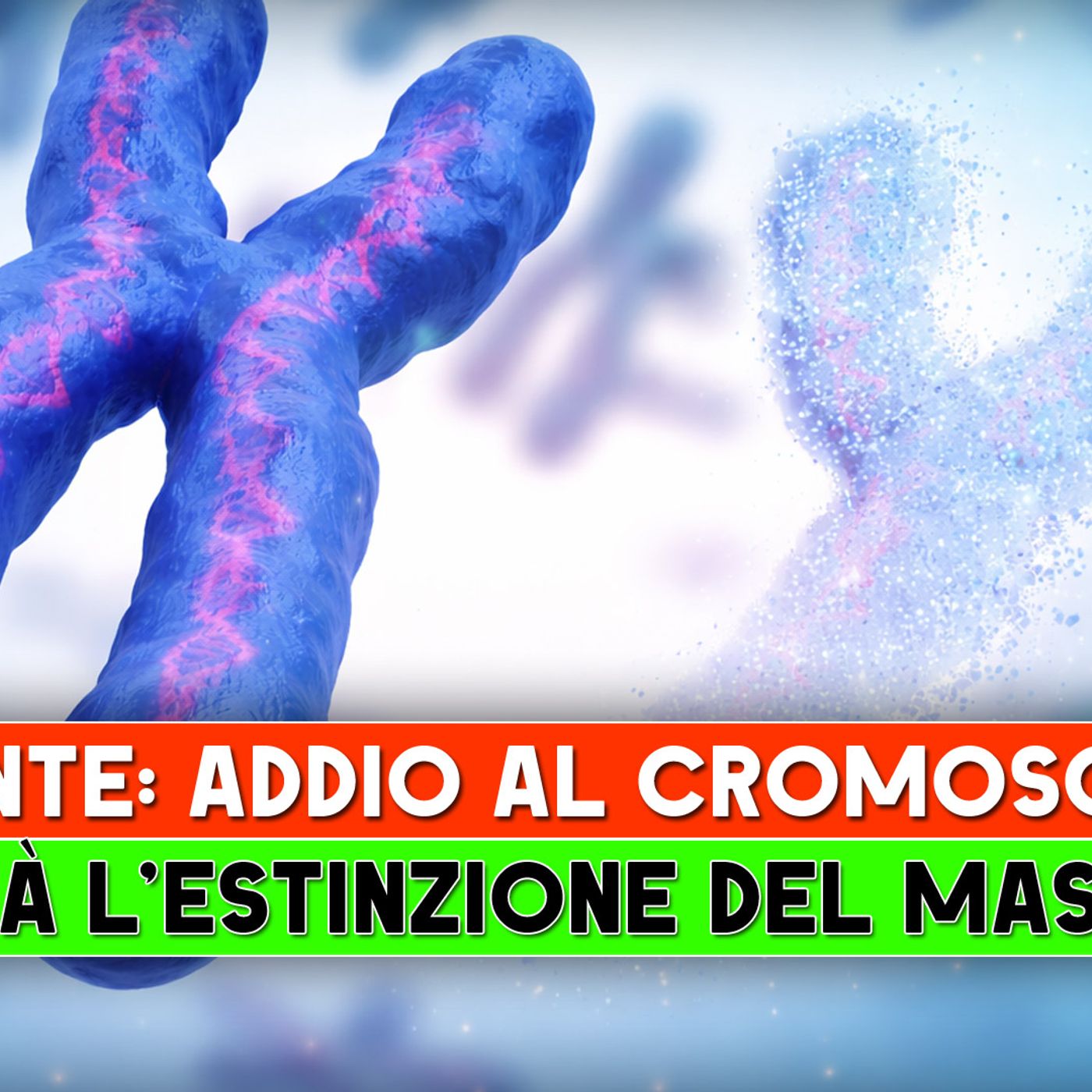 URGENTE, Addio al cromosoma Y? La verità sulla possibile estinzione del maschio umano! episode artwork