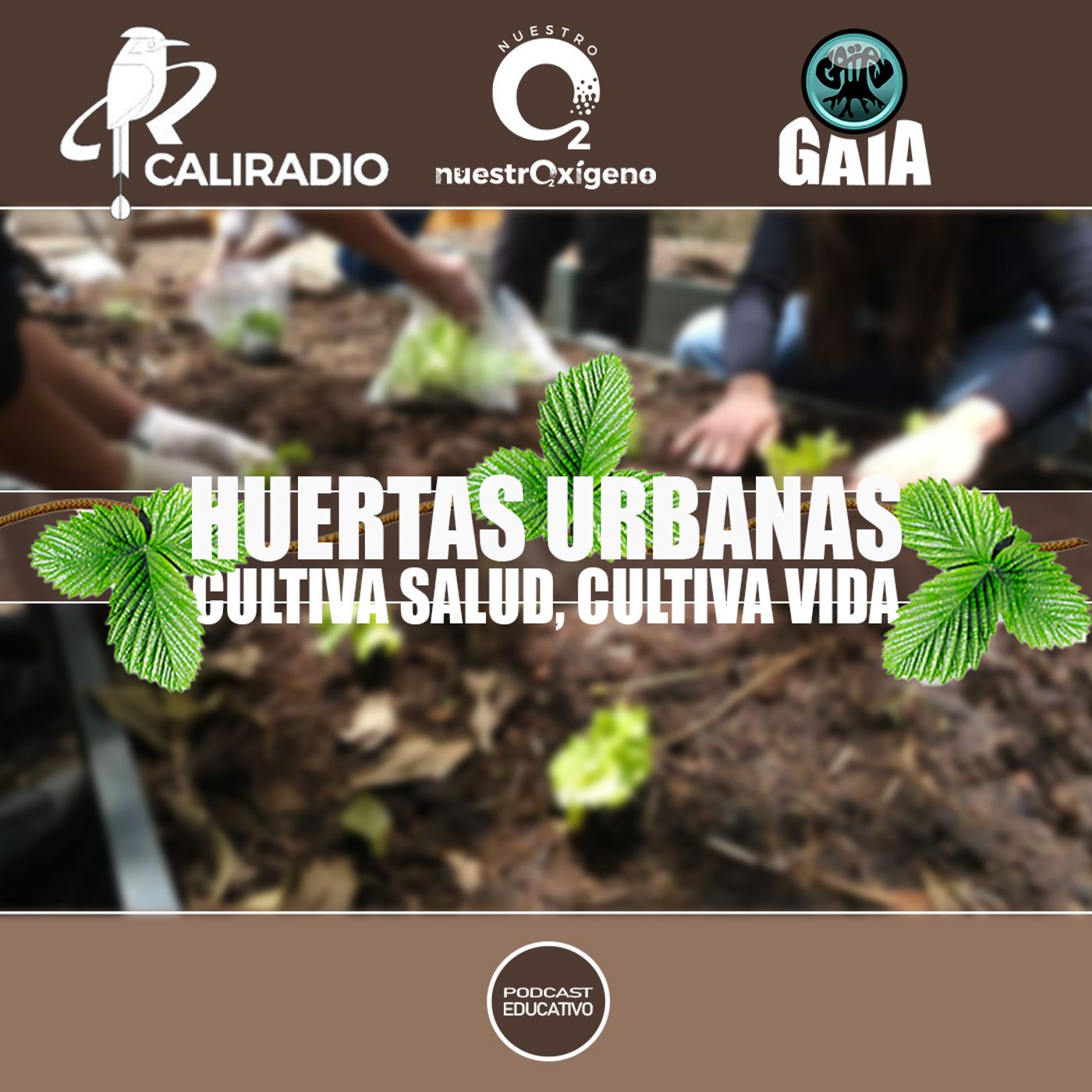 NUESTRO OXIGENO Huertas urbanas - cultivando vida en la ciudad – Prof. Jazmín Duarte episode artwork