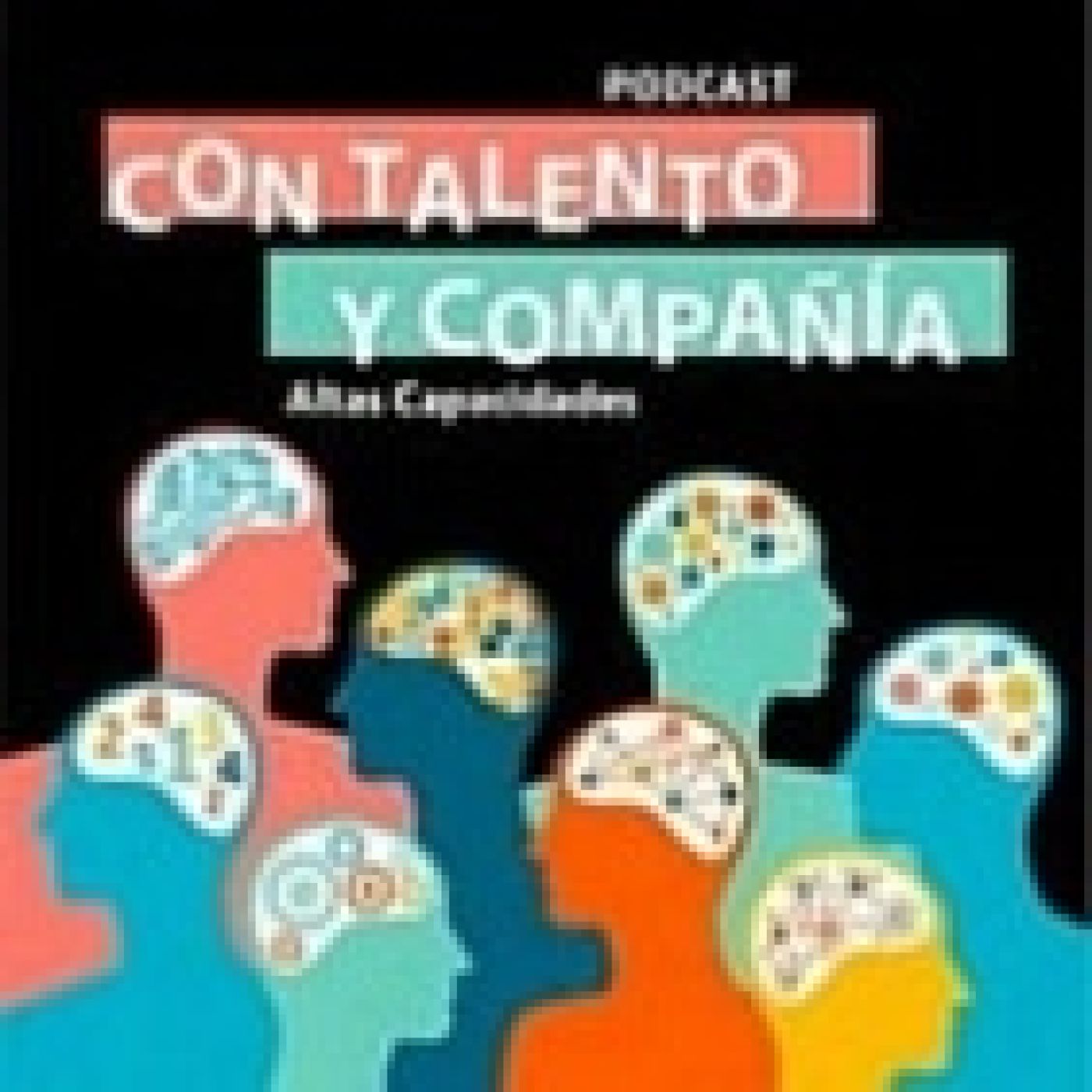 EPISODIO 110: LO QUE UN TEST NO PUEDE CONTARTE SOBRE LAS ACI episode artwork