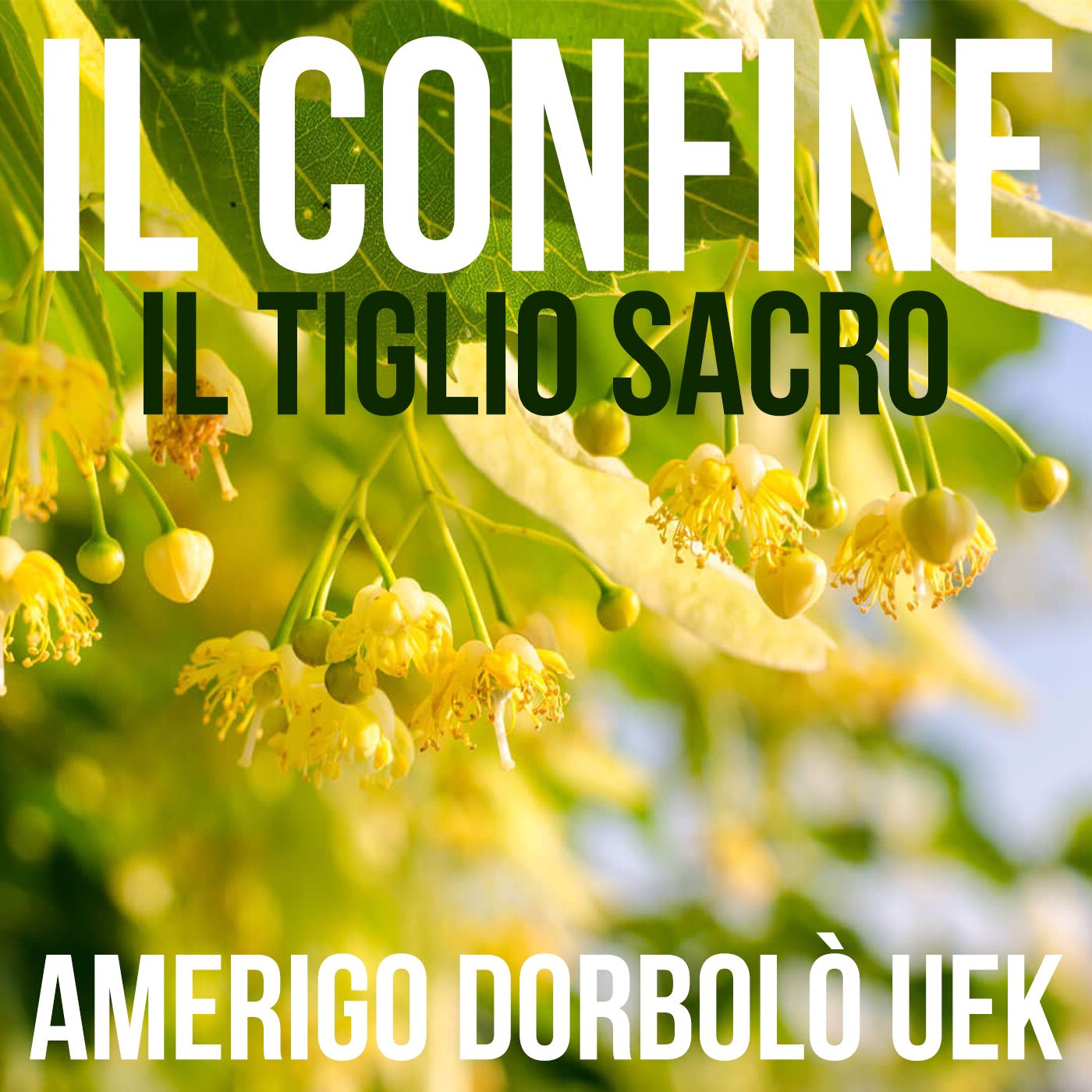 IL CONFINE, Storie a Nord-est