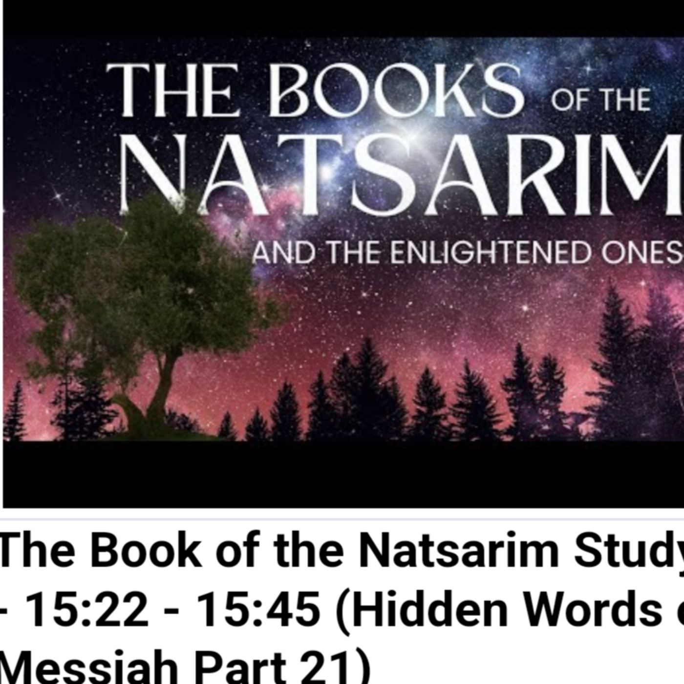 The Book of the Natsarim Study - 15:22 - 15:45 (Hidden Words of Messiah Part 21) episode artwork