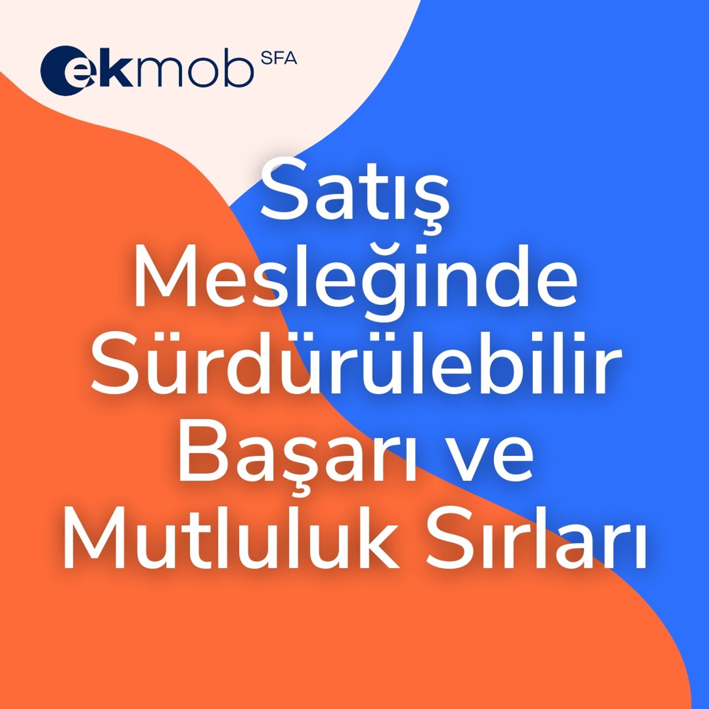 Satış Ekibi Yönetimi