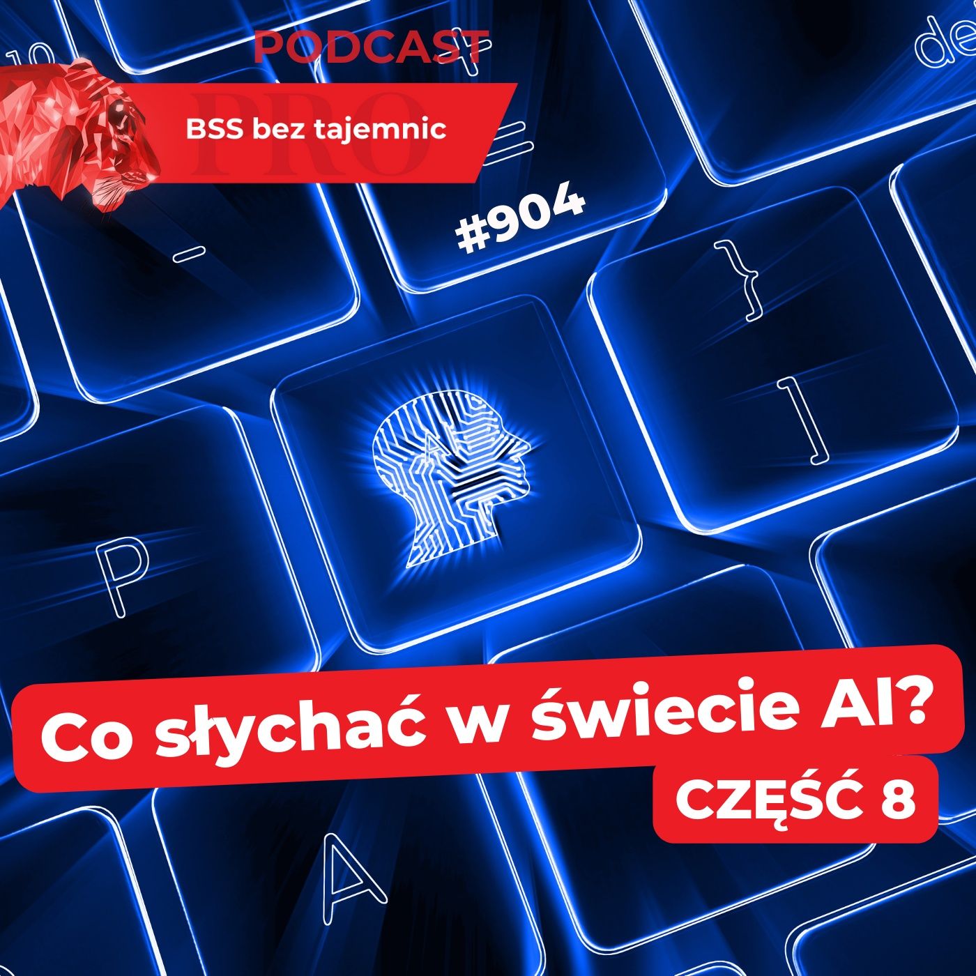 BSS bez tajemnic