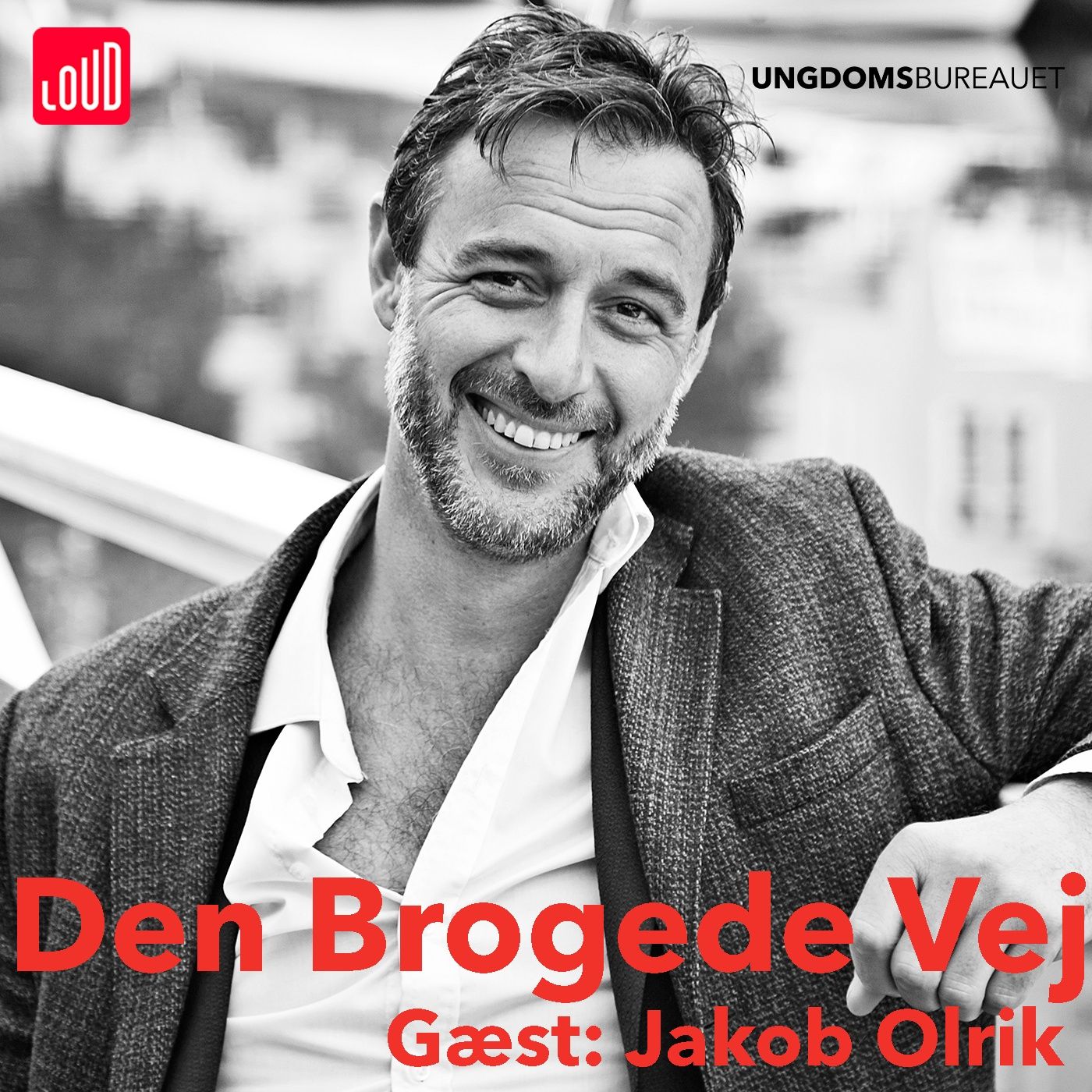 Den Brogede Vej