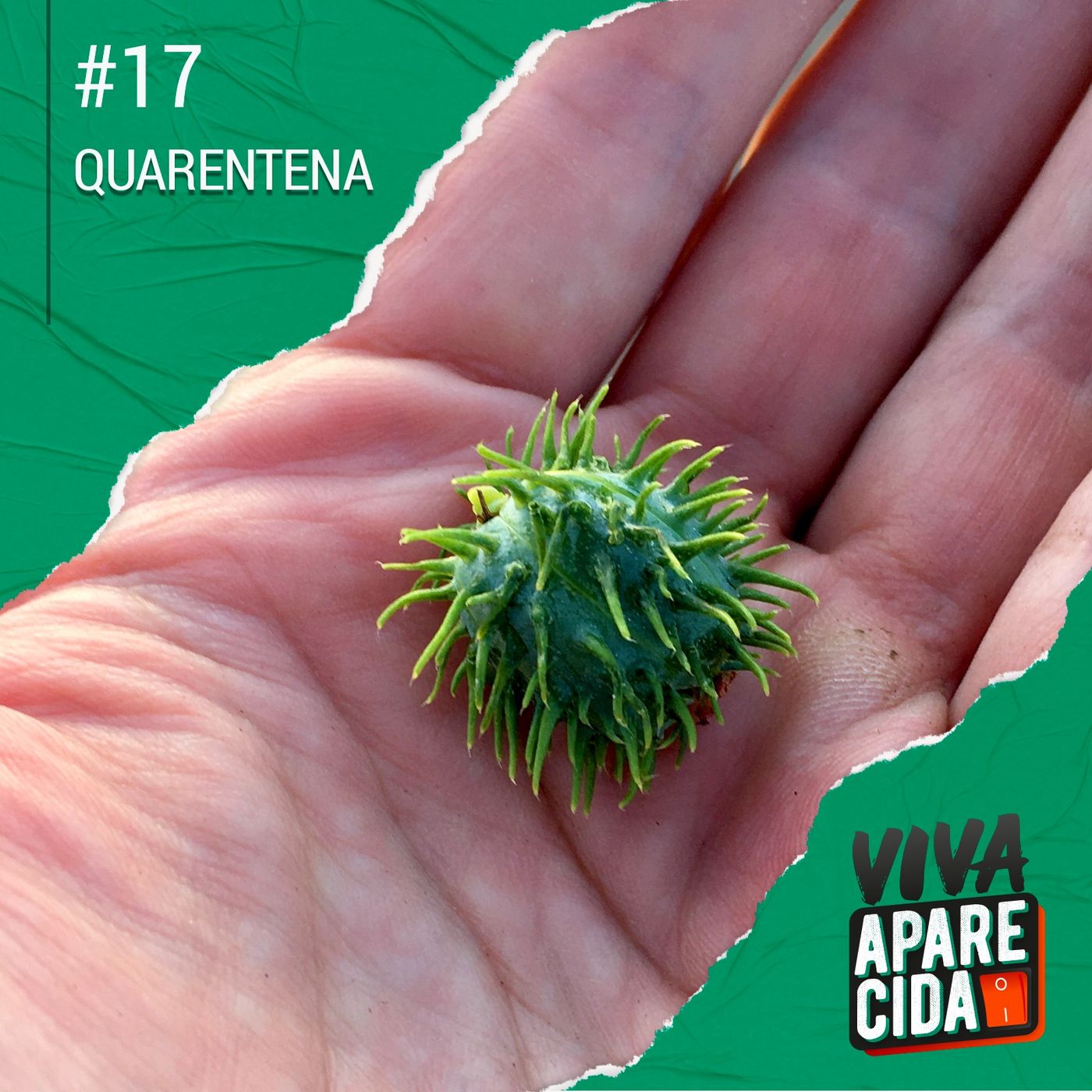 Viva Aparecida
